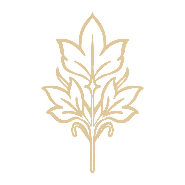 Stylized gold outline of a maple leaf on a black background.