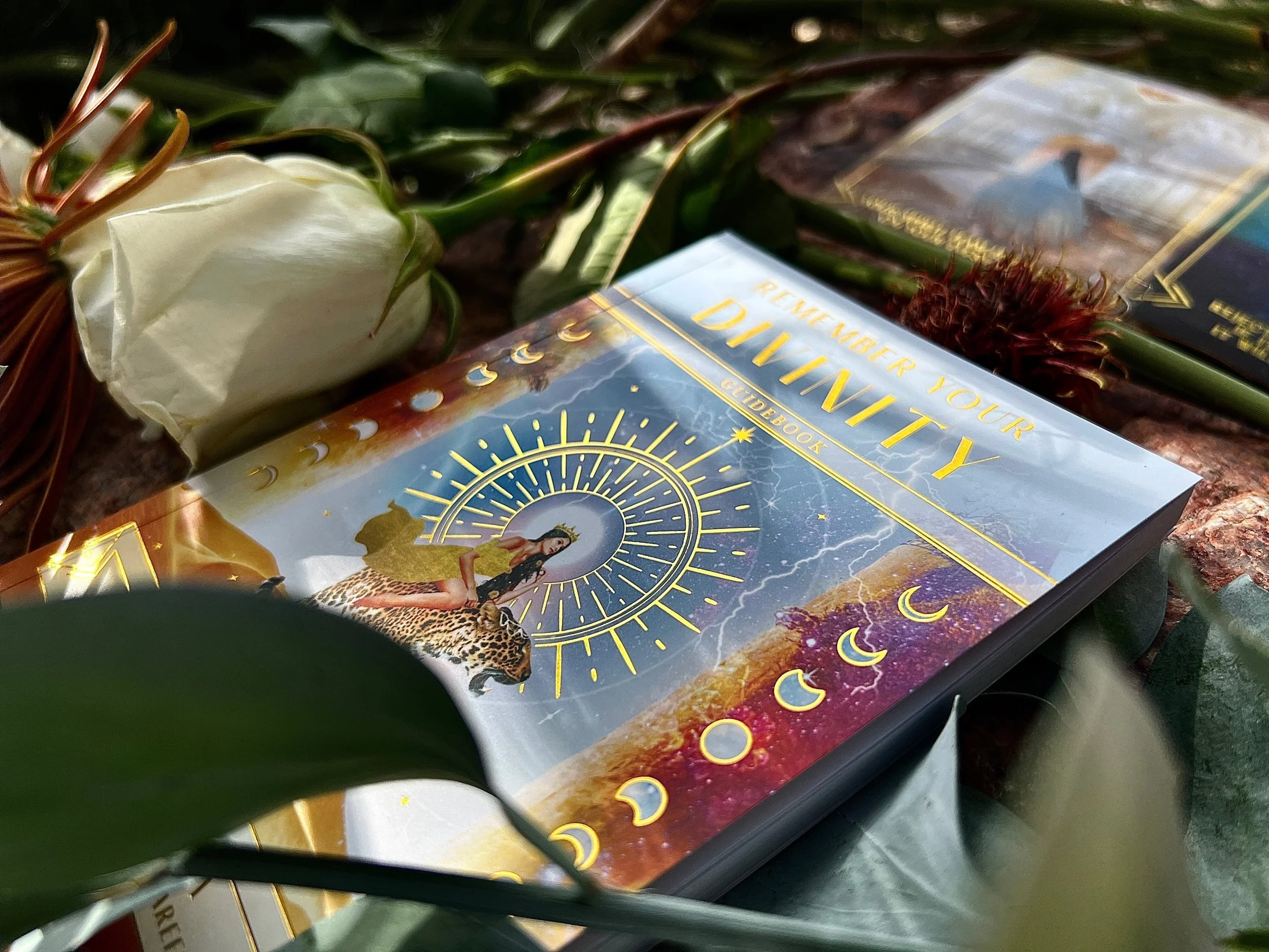 A book titled 'Rewire Your Destiny' placed outdoors among green leaves and flowers, with a white closed flower nearby.