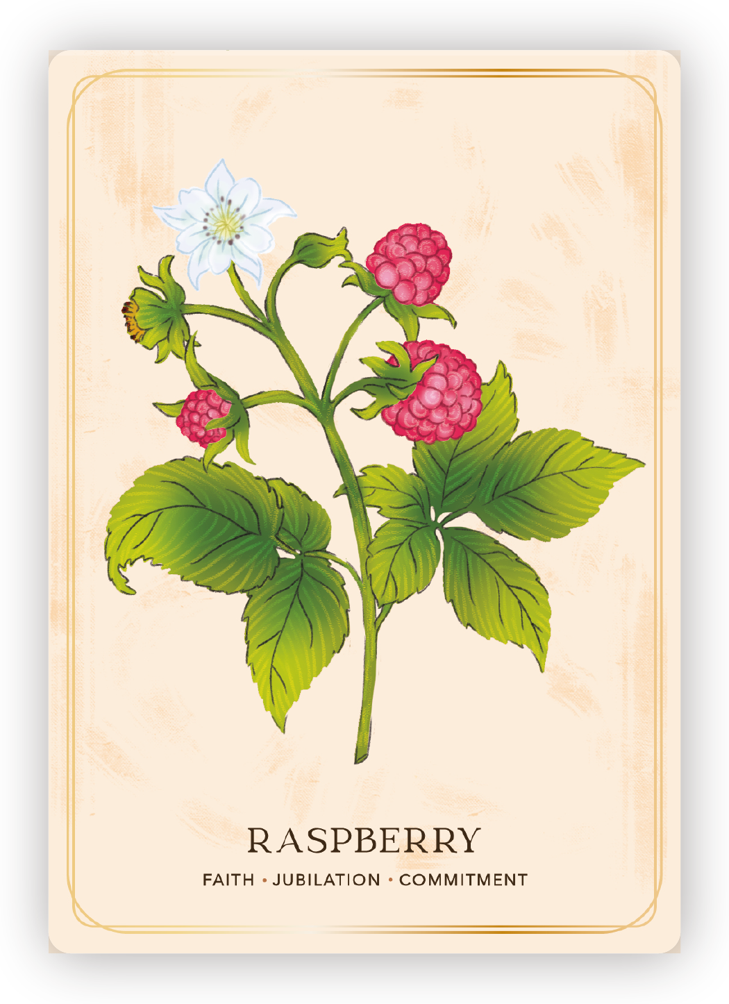 Illustration of a raspberry plant with green leaves, pink raspberries, and a white flower, labeled 'Raspberry' with words 'Faith, Jubilation, Commitment' underneath.
