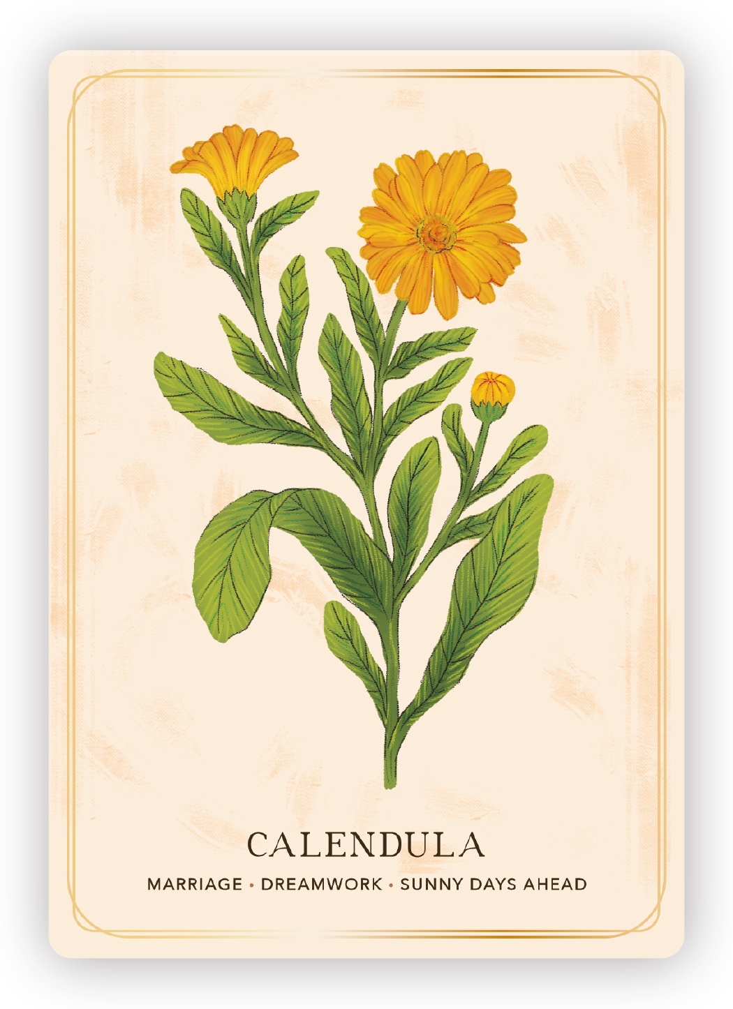 Illustration of a calendula plant with yellow flowers, green leaves, and buds, labeled 'Calendula' with words below reading 'Marriage, Dreamwork, Sunny Days Ahead.'