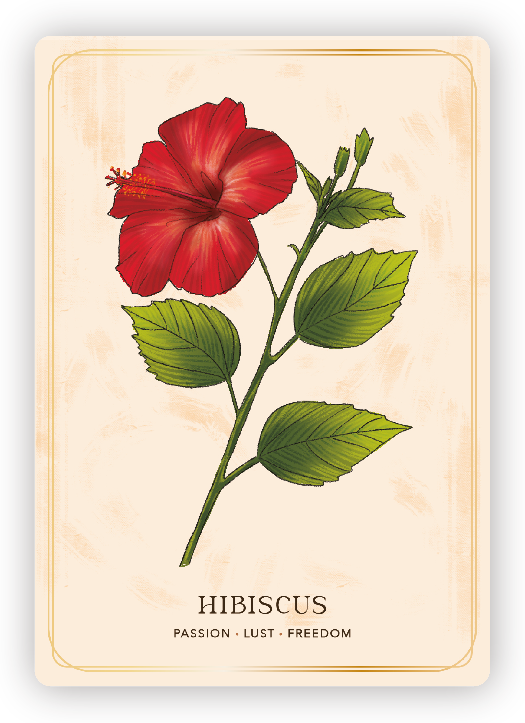 Illustration of a red hibiscus flower with green leaves on a beige background, labeled 'Hibiscus' with attributes 'Passion, Lust, Freedom'.
