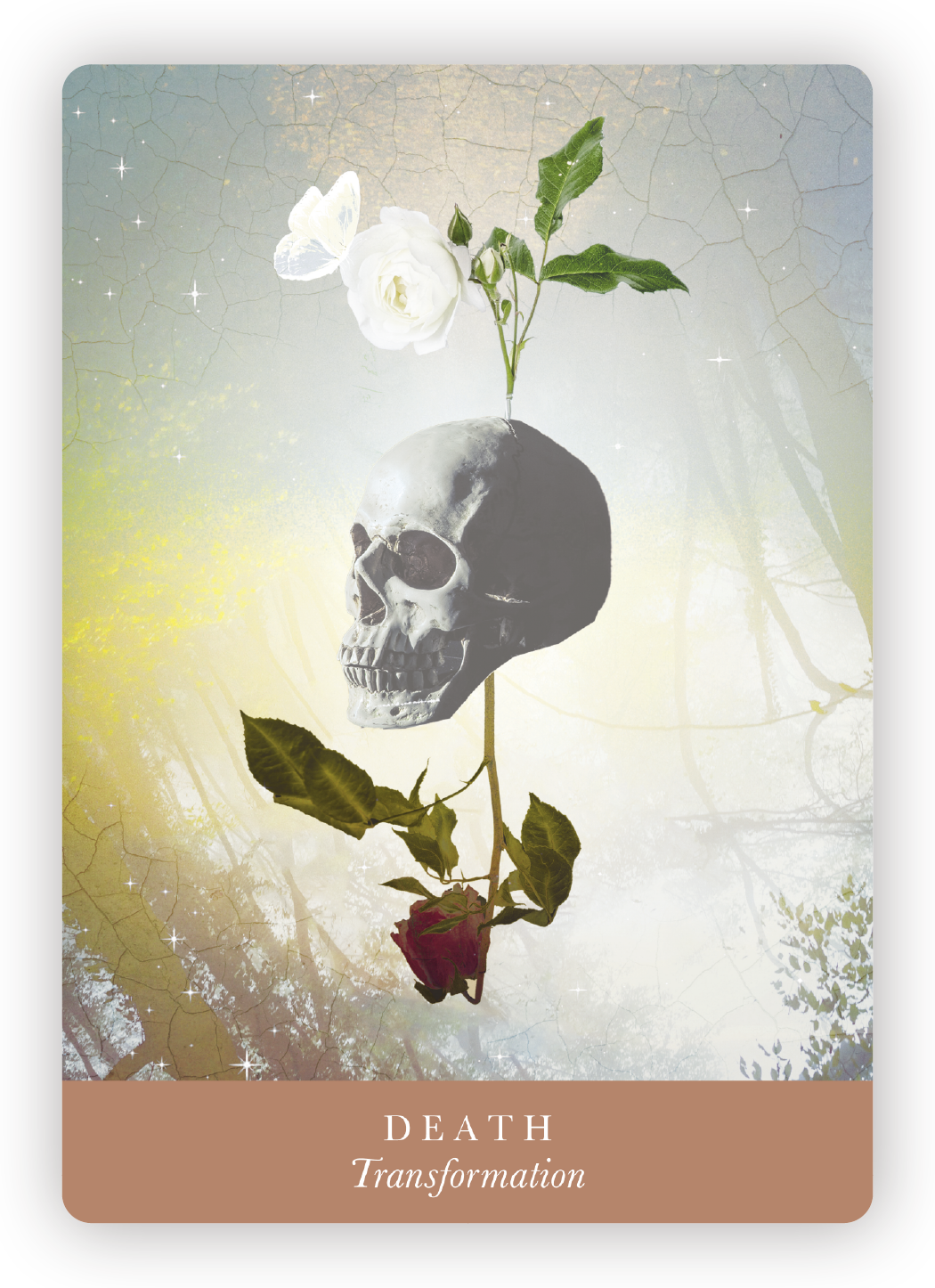 A surreal image of a human skull with a plant growing from the top, featuring a white rose, green leaves, and a red rose underneath. A white butterfly is near the rose. The background is a dreamy, cracked, cloudy sky with light sparkles. At the botto