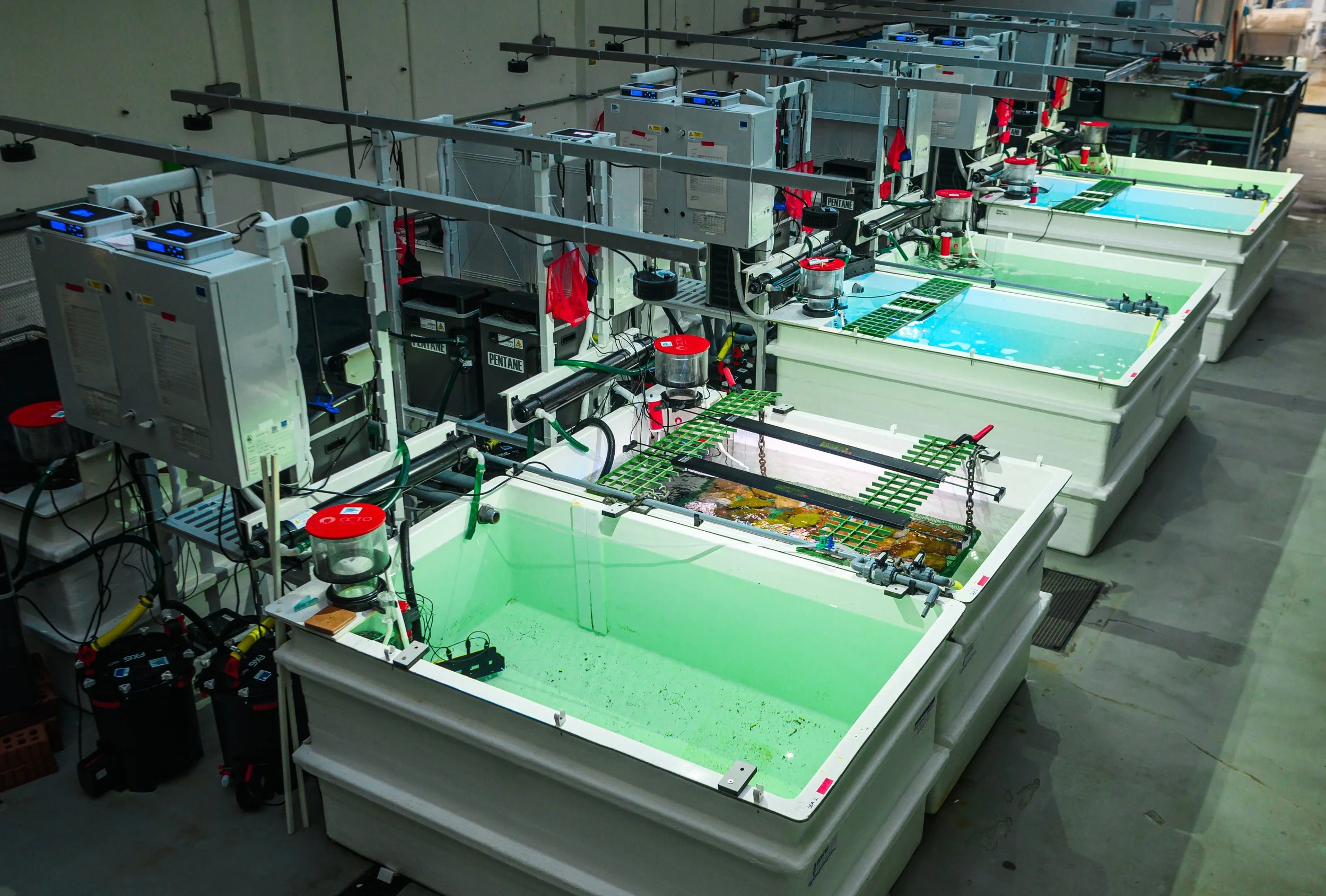 Marine Biological Association mesocosm and aquarium