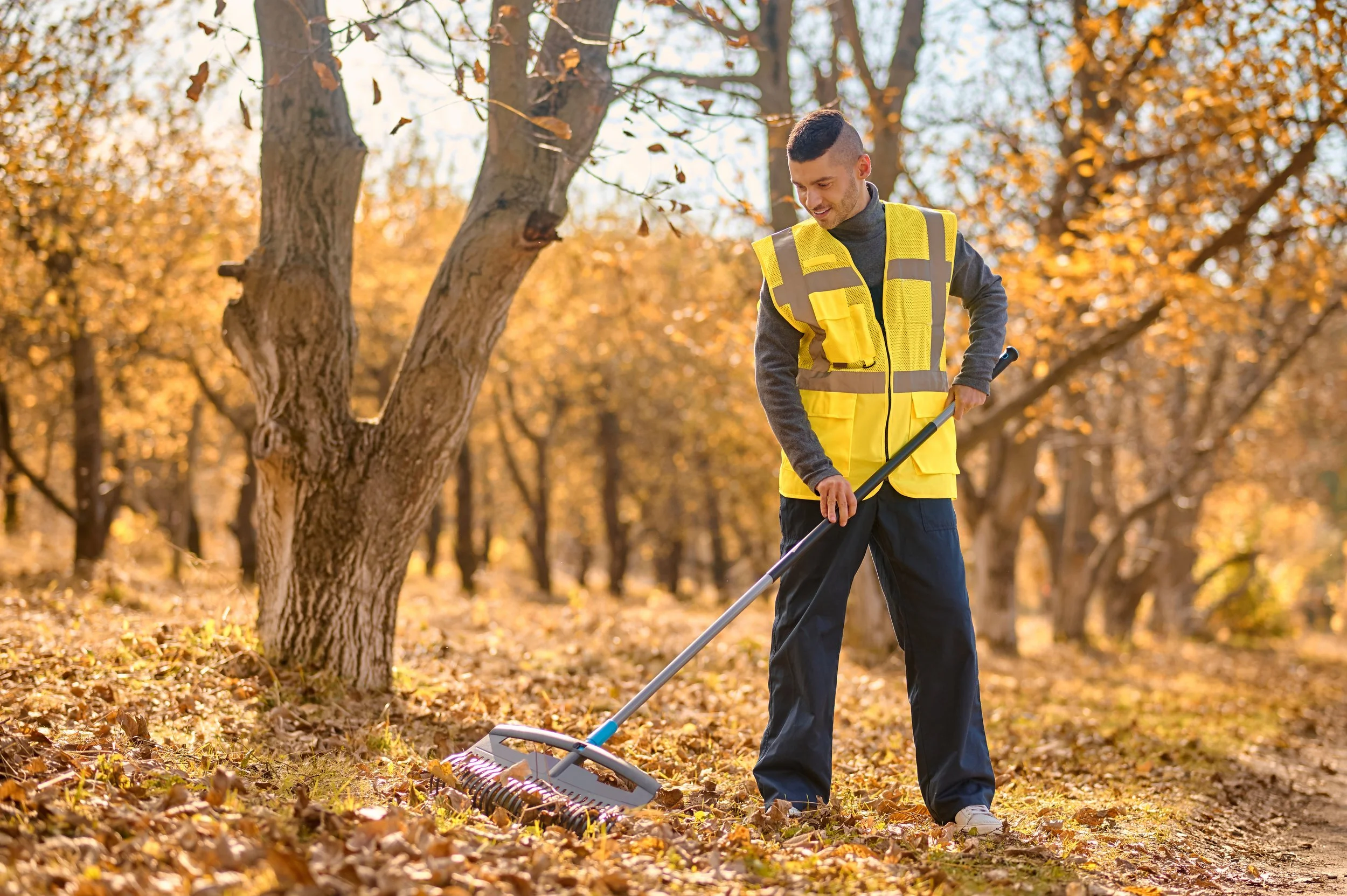 a-man-in-a-yellow-vest-raking-leaves-in-the-park-2024-10-18-07-09-24-utc.jpg