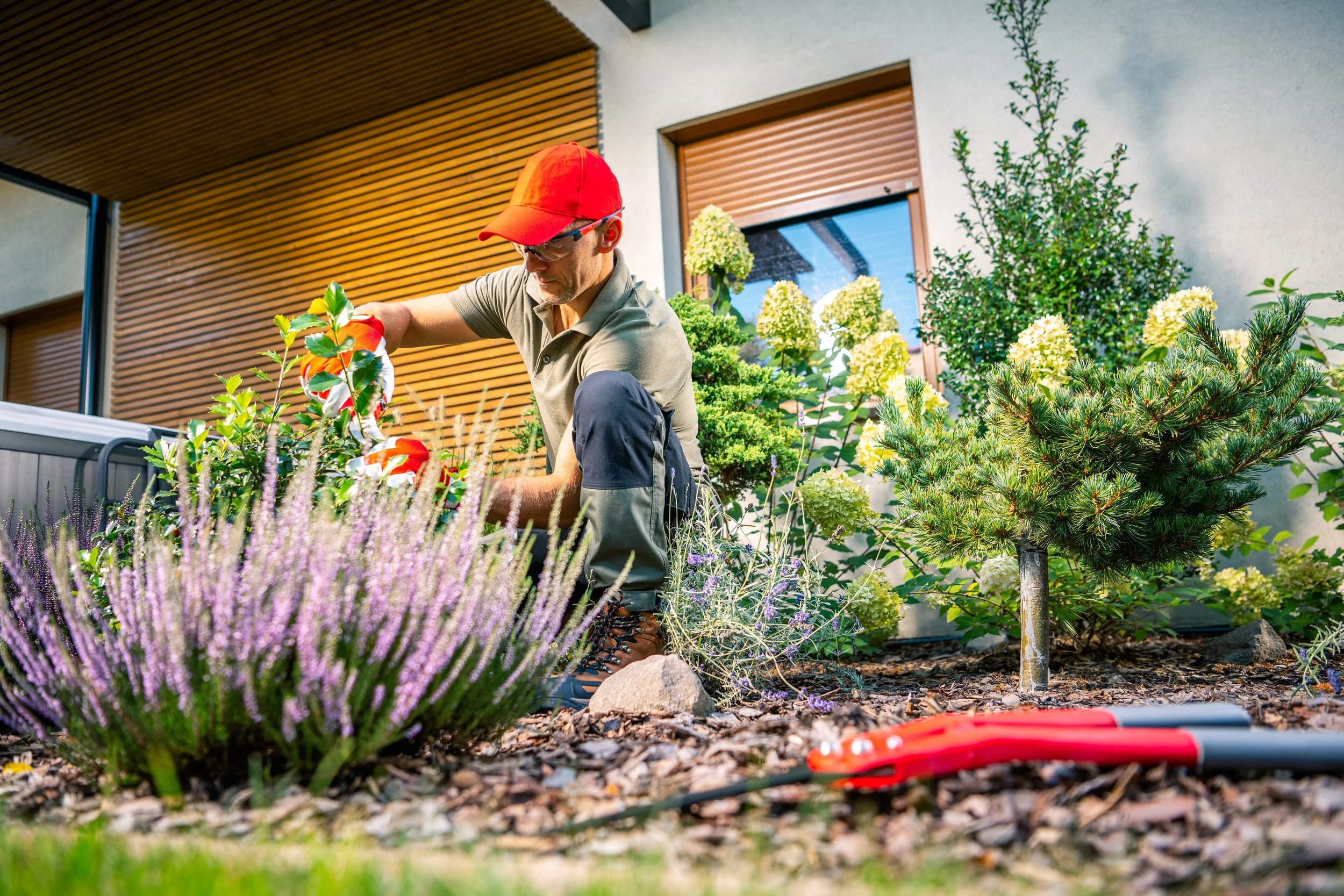 gardener-tending-to-flowers-and-shrubs-in-a-reside-2025-01-31-16-25-14-utc.jpg