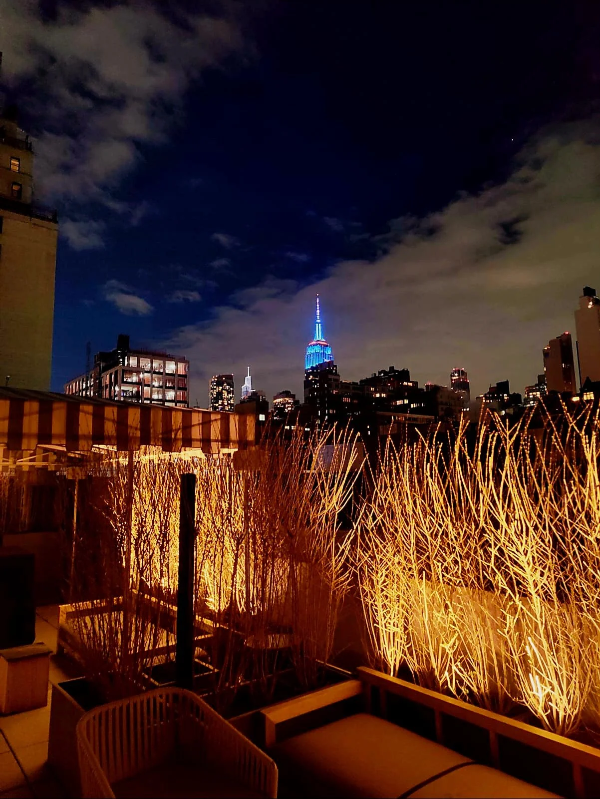 Nighttime view of New York City skyline with Empire State Building illuminated in blue and white, and surrounding buildings with lit windows. Foreground features a terrace with illuminated decorative grasses and outdoor furniture.