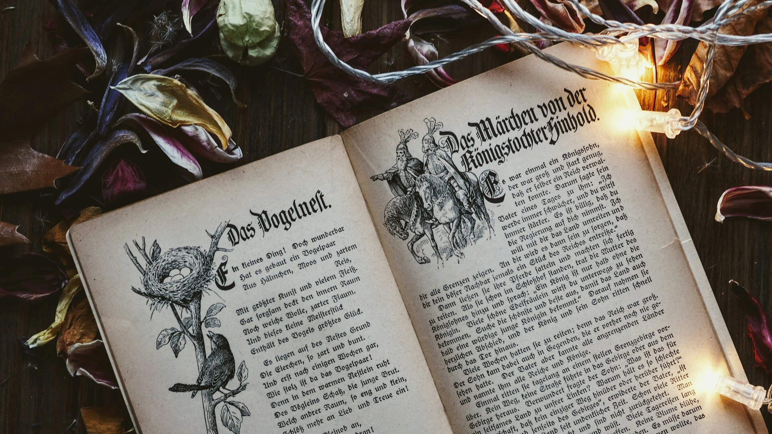An open book with German text and illustrations of a bird in a nest and a knight on horseback, surrounded by dried flowers and a string of fairy lights.