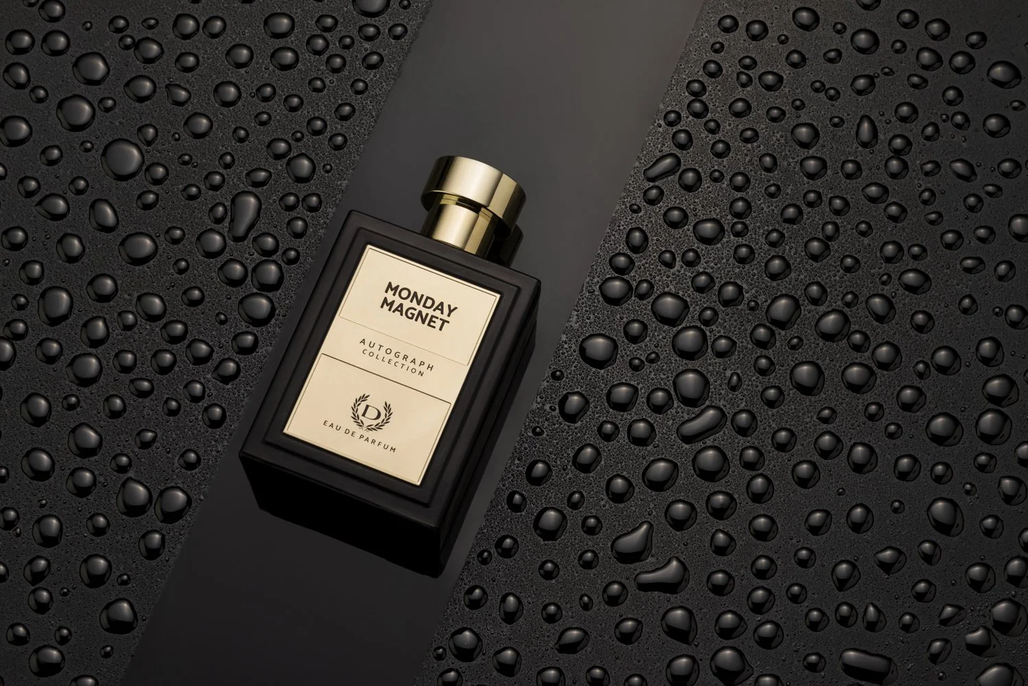 Denver 16-04-2025-199.JPG