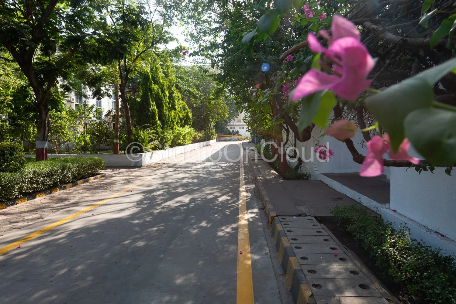 SOC_4100.jpg