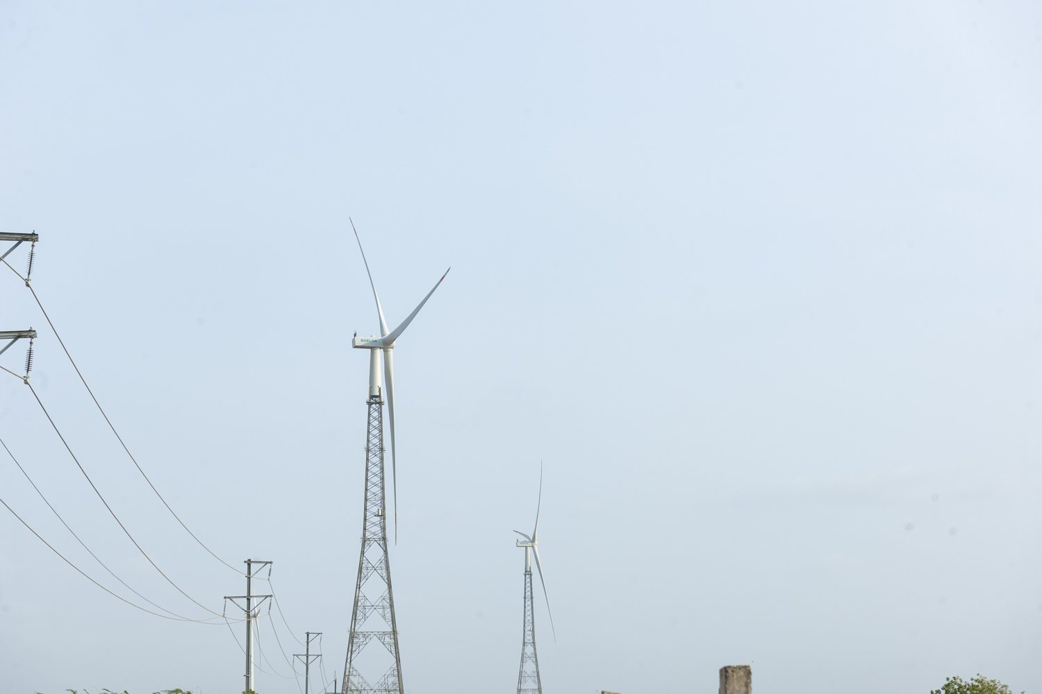 D3X_5626.JPG