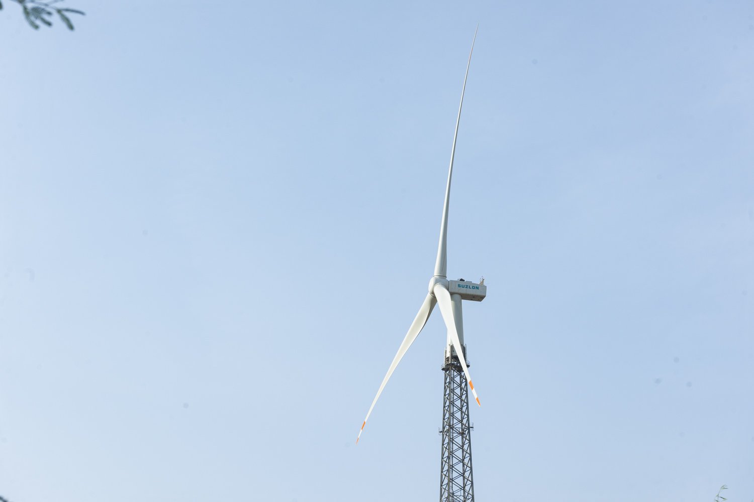 D3X_5557.JPG
