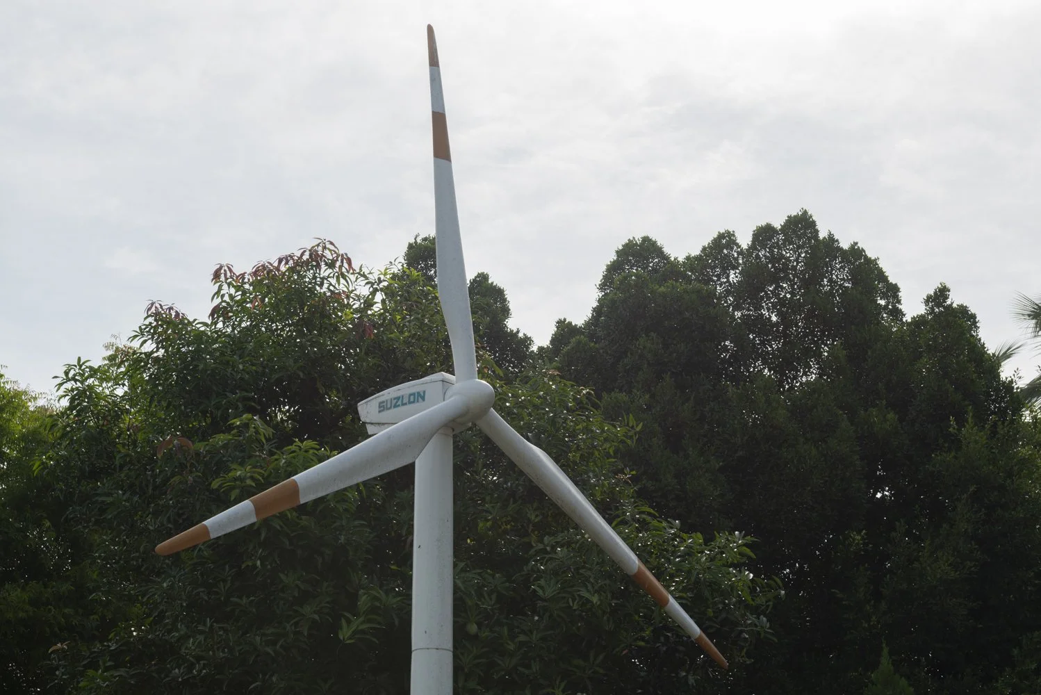 SOC_8260.JPG
