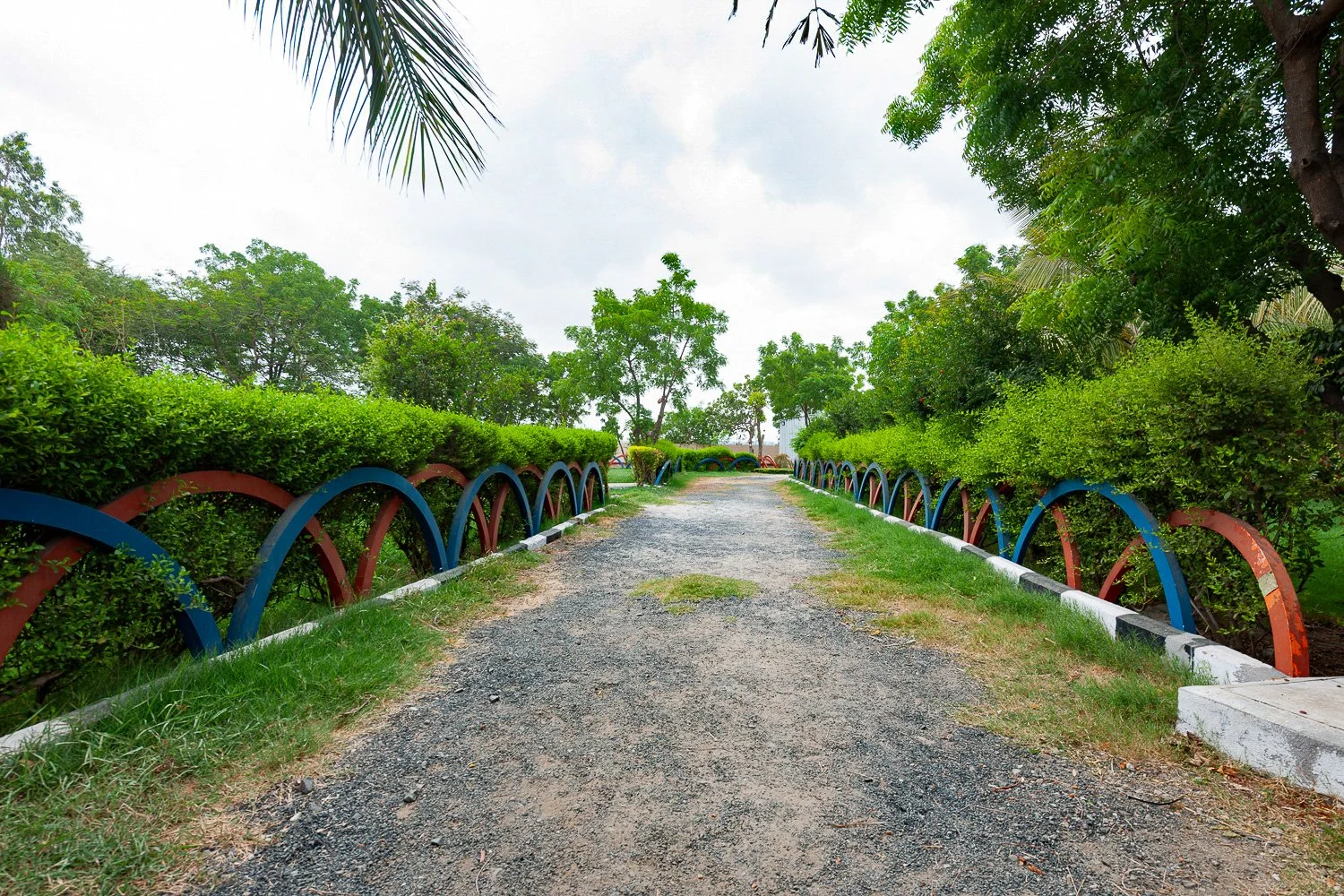 D3X_3899.jpg