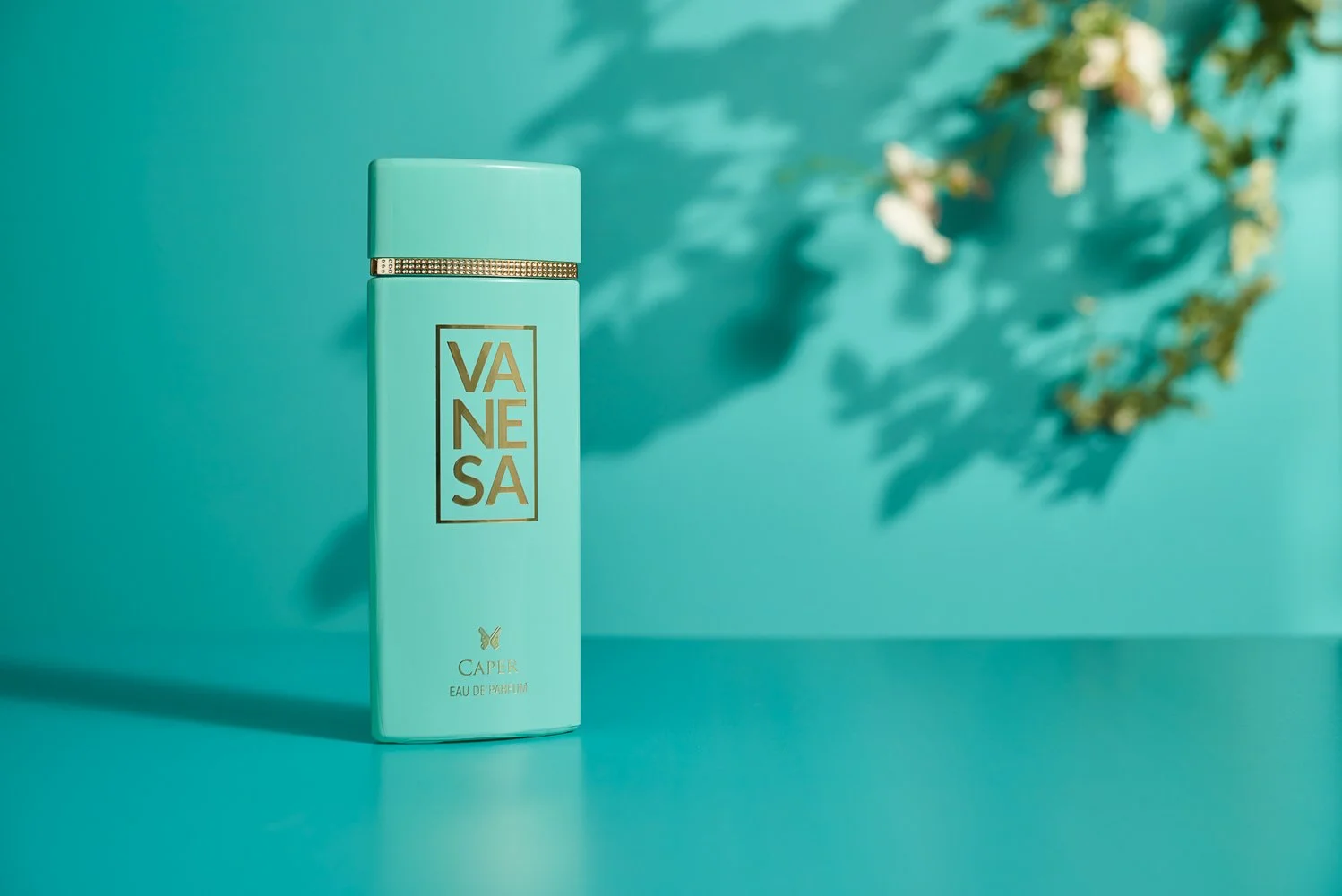 16-12-2022 Vanesa 2860.JPG