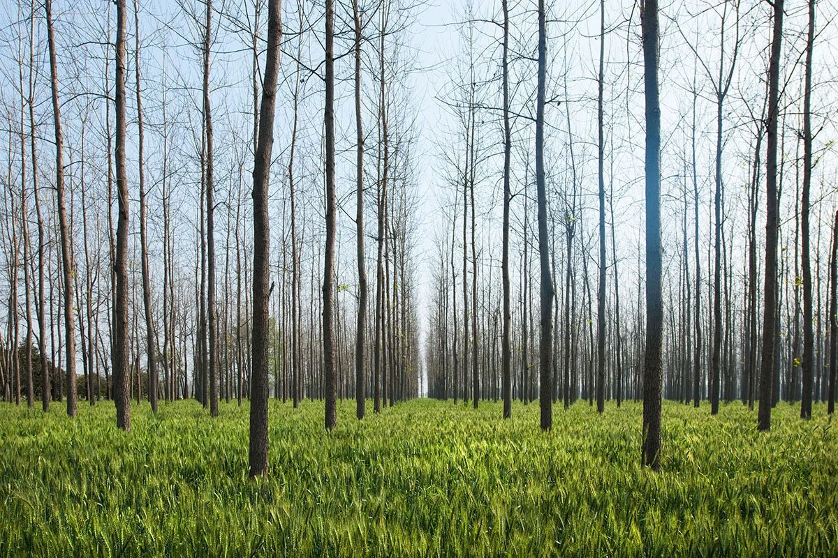 Industrial Photography-Green Panel-0028-Vikas Dutt.jpg