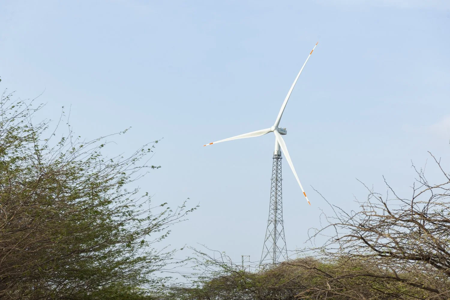 D3X_5707.JPG