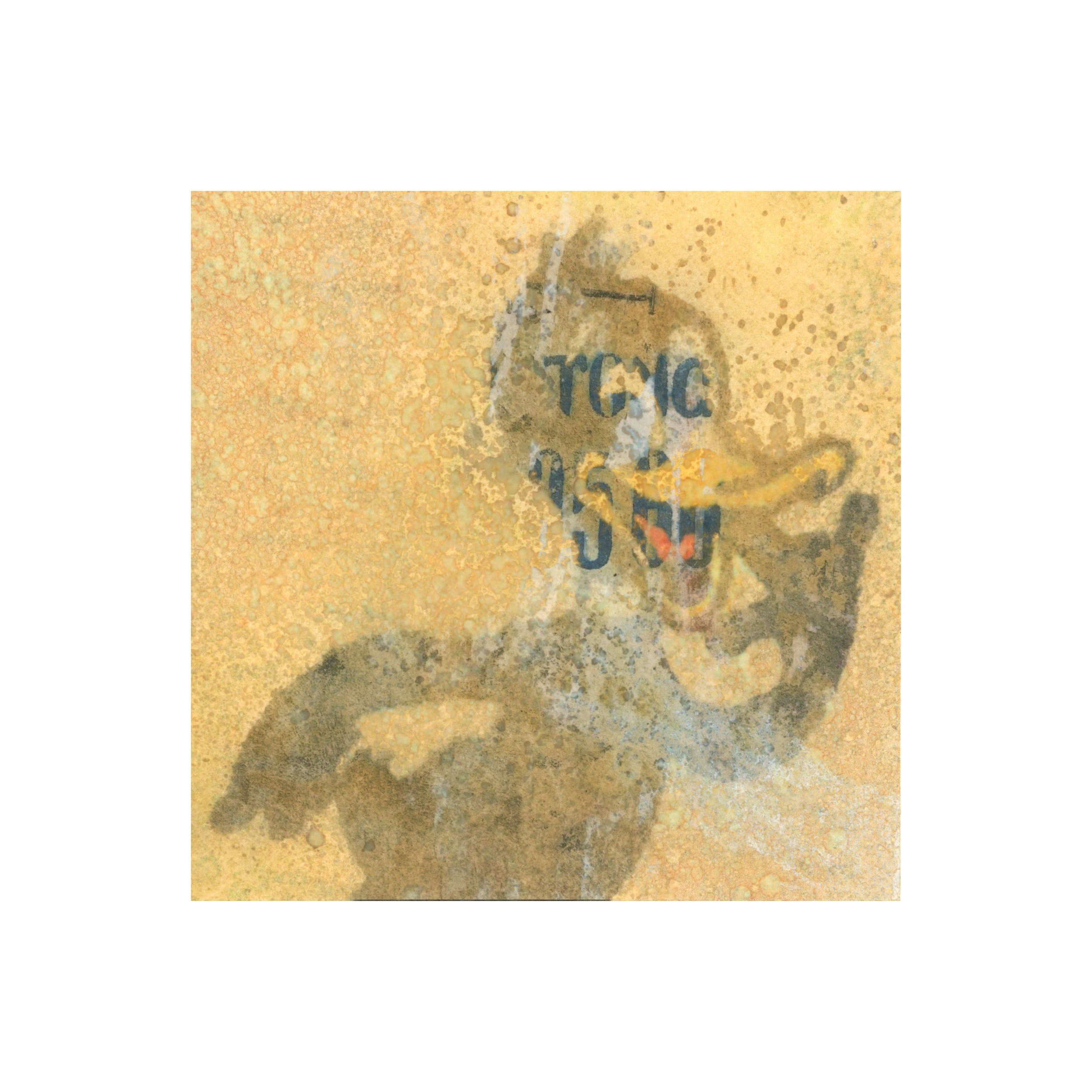 Faded Daffy Print