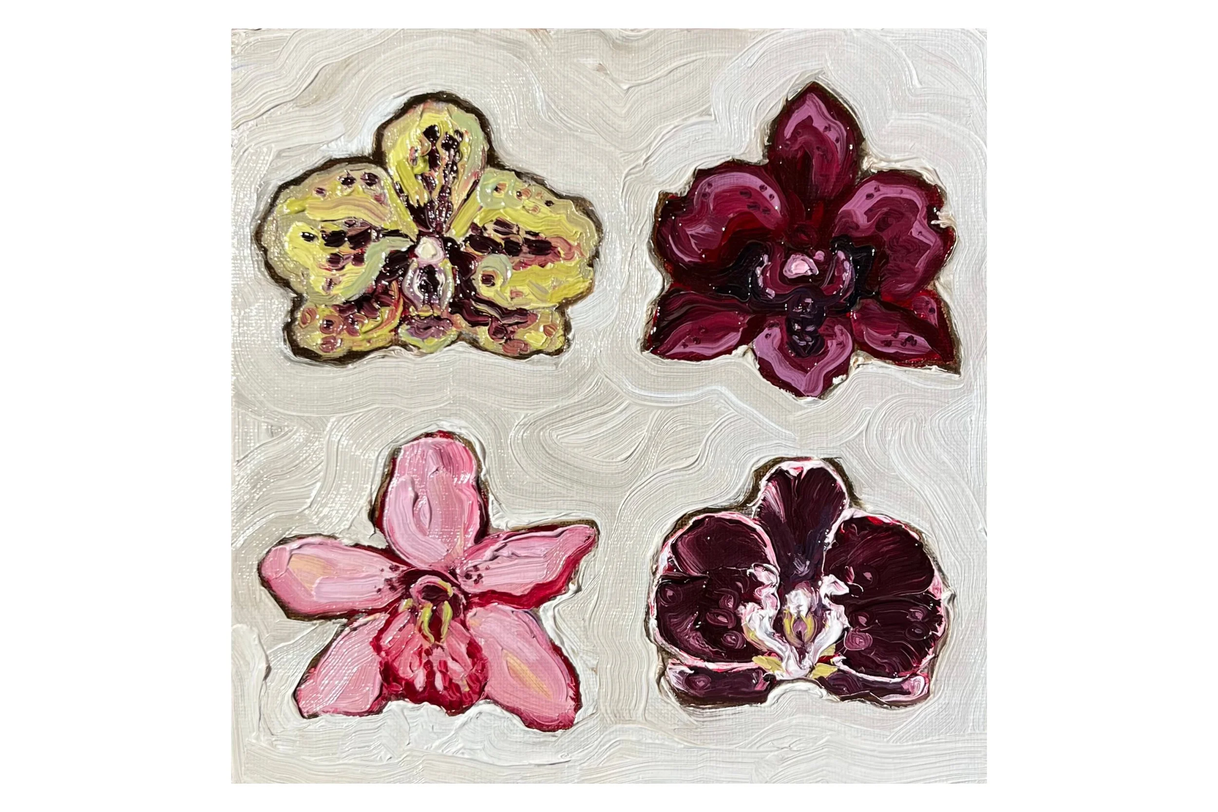 four orchids web image.jpg (Copy)