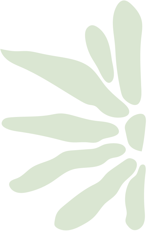 Abstract illustration of a leafy plant with elongated light green leaves on a black background