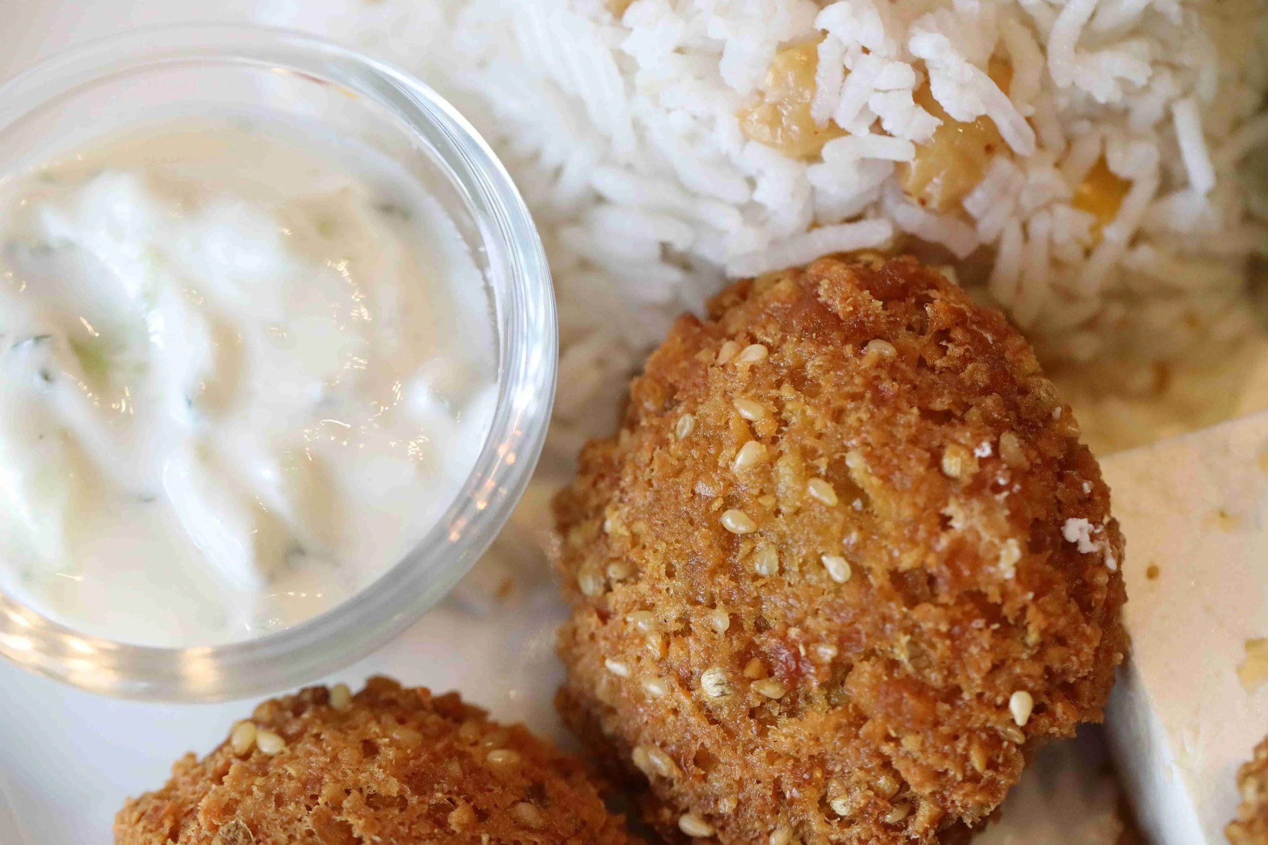 Falafel with Rice