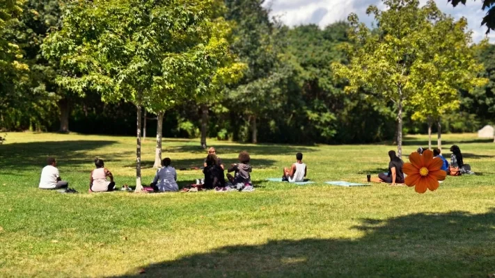 People practicing yoga outdoors on a grassy field with trees in the background.