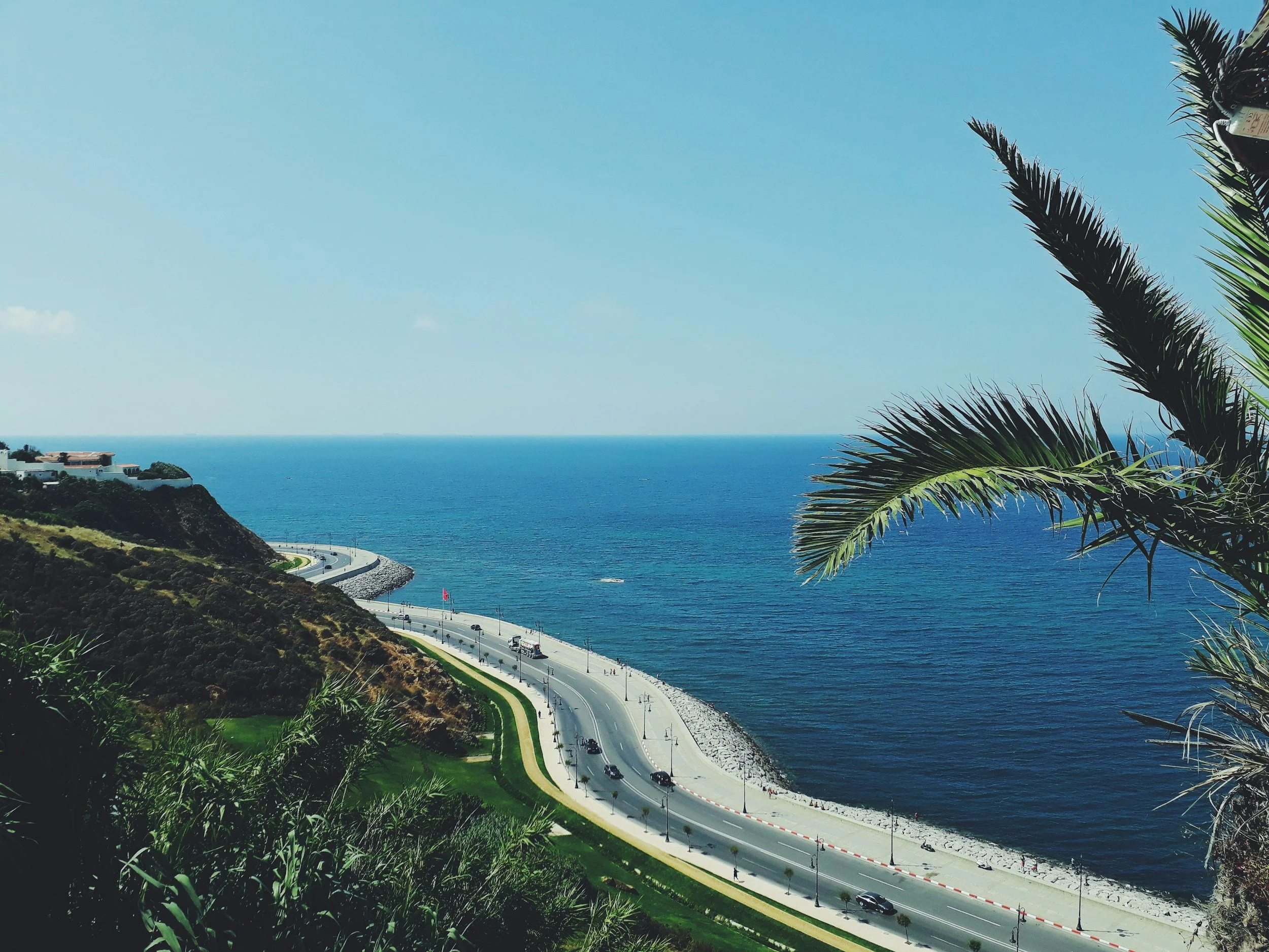 coastal road winding along the hillside by the ocean, with lush greenery including palm trees, under a clear blue sky