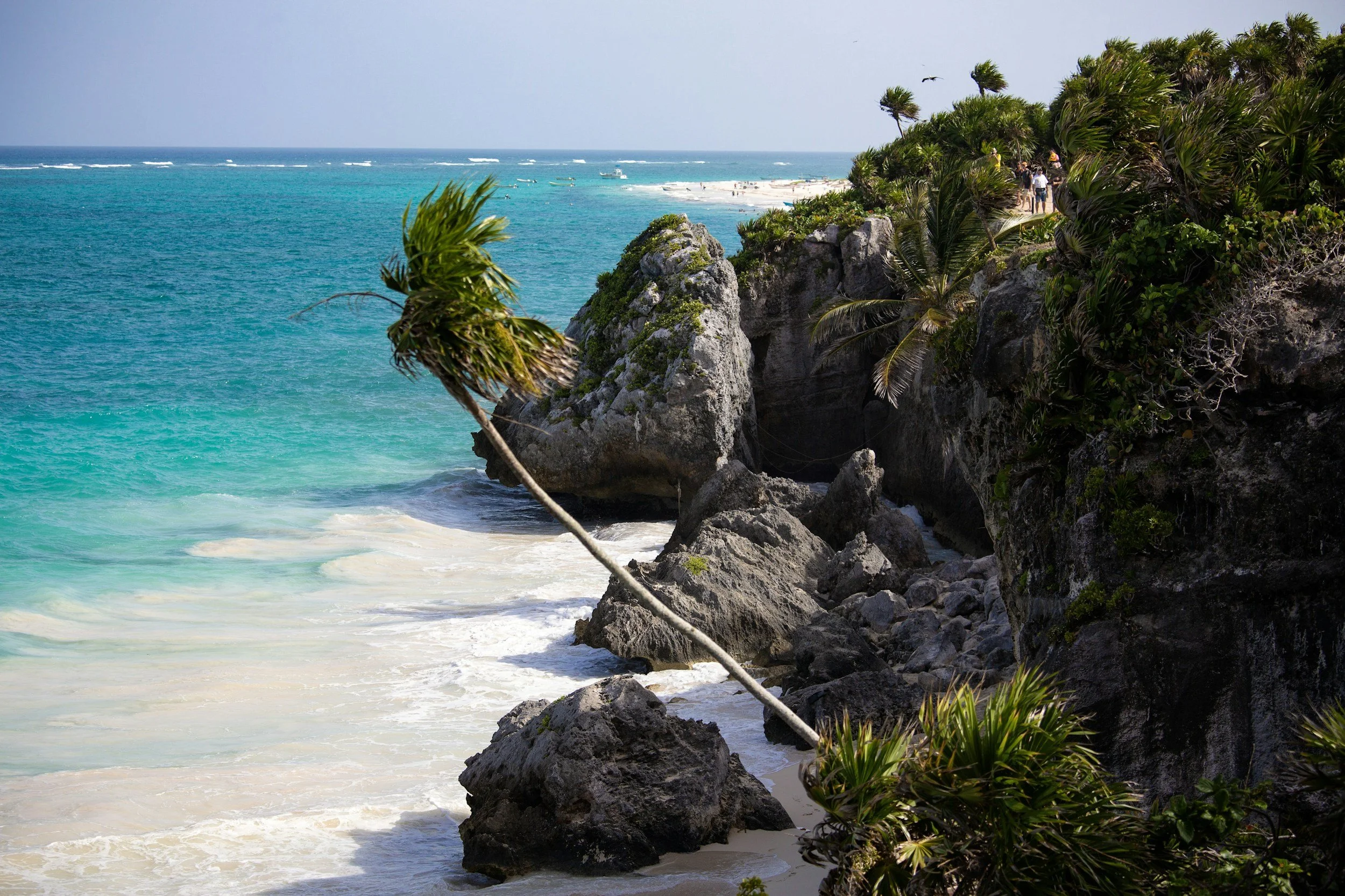 A tropical beach with turquoise waters, rocky cliffs, and lush green plants, including leaning palm trees, under a clear sky.