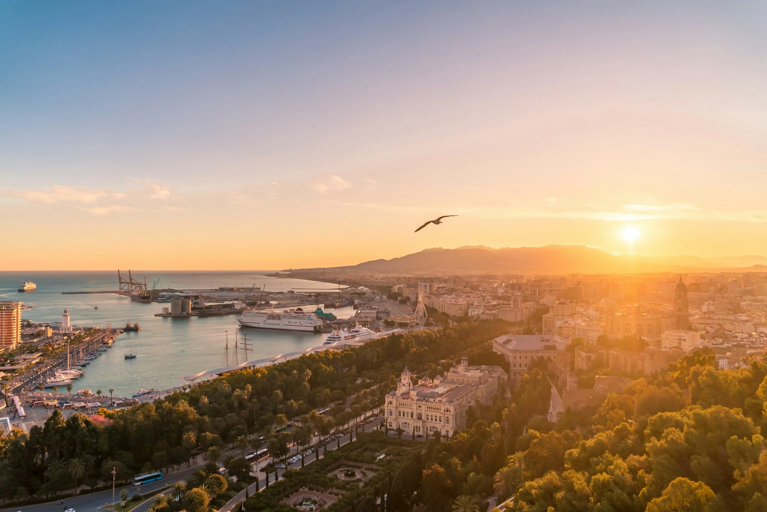 Sunset view of a city coastline with a harbor filled with yachts and cruise ships, a large crane, a green park with trees and a historic building, and a bird flying in the sky.