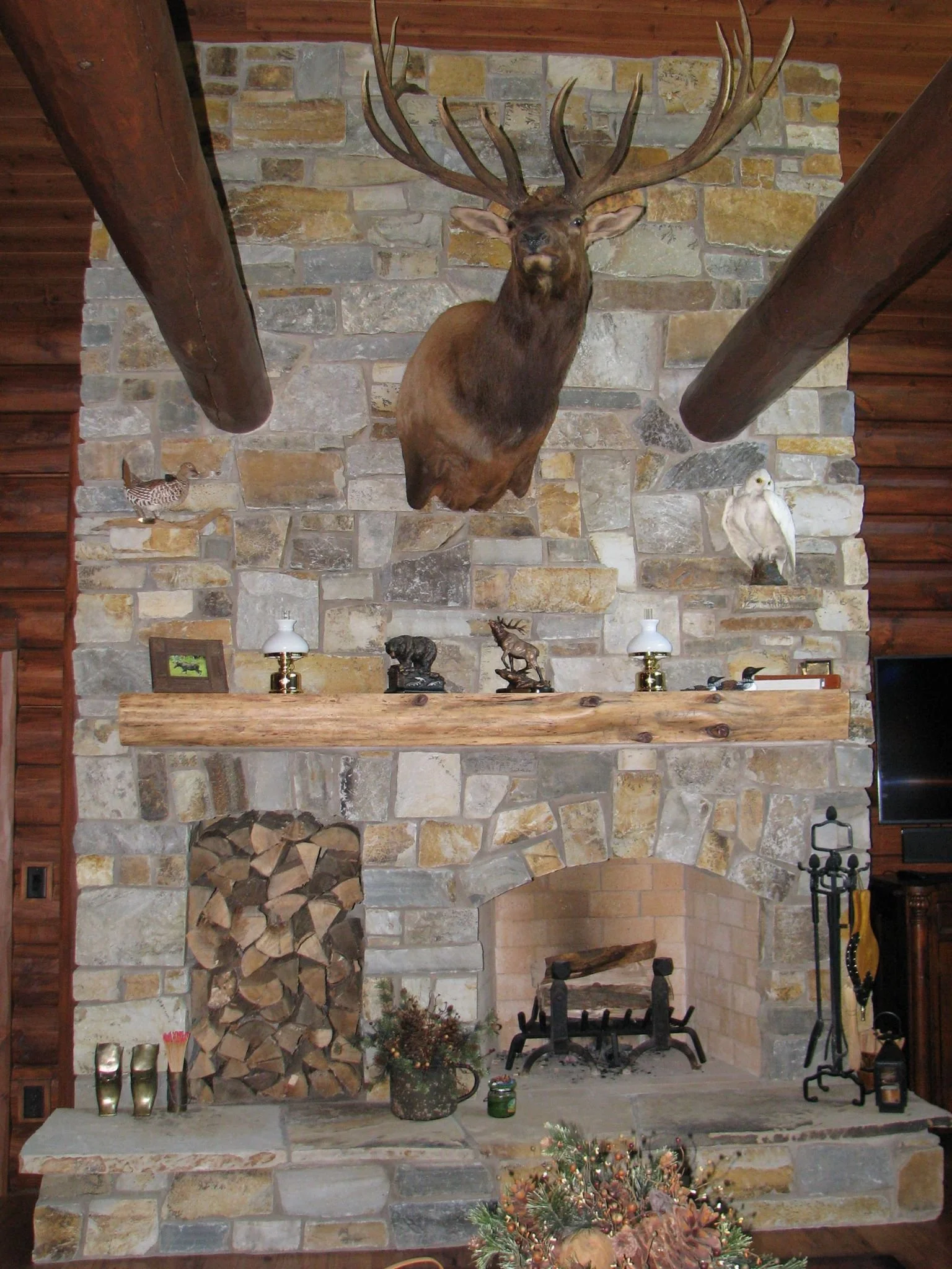 A rustic stone fireplace with a wooden mantel, decorated with mounted animal heads including a large elk with antlers, a white owl, a pheasant, and a small bird. The hearth contains wood logs, tools, and decorative items.