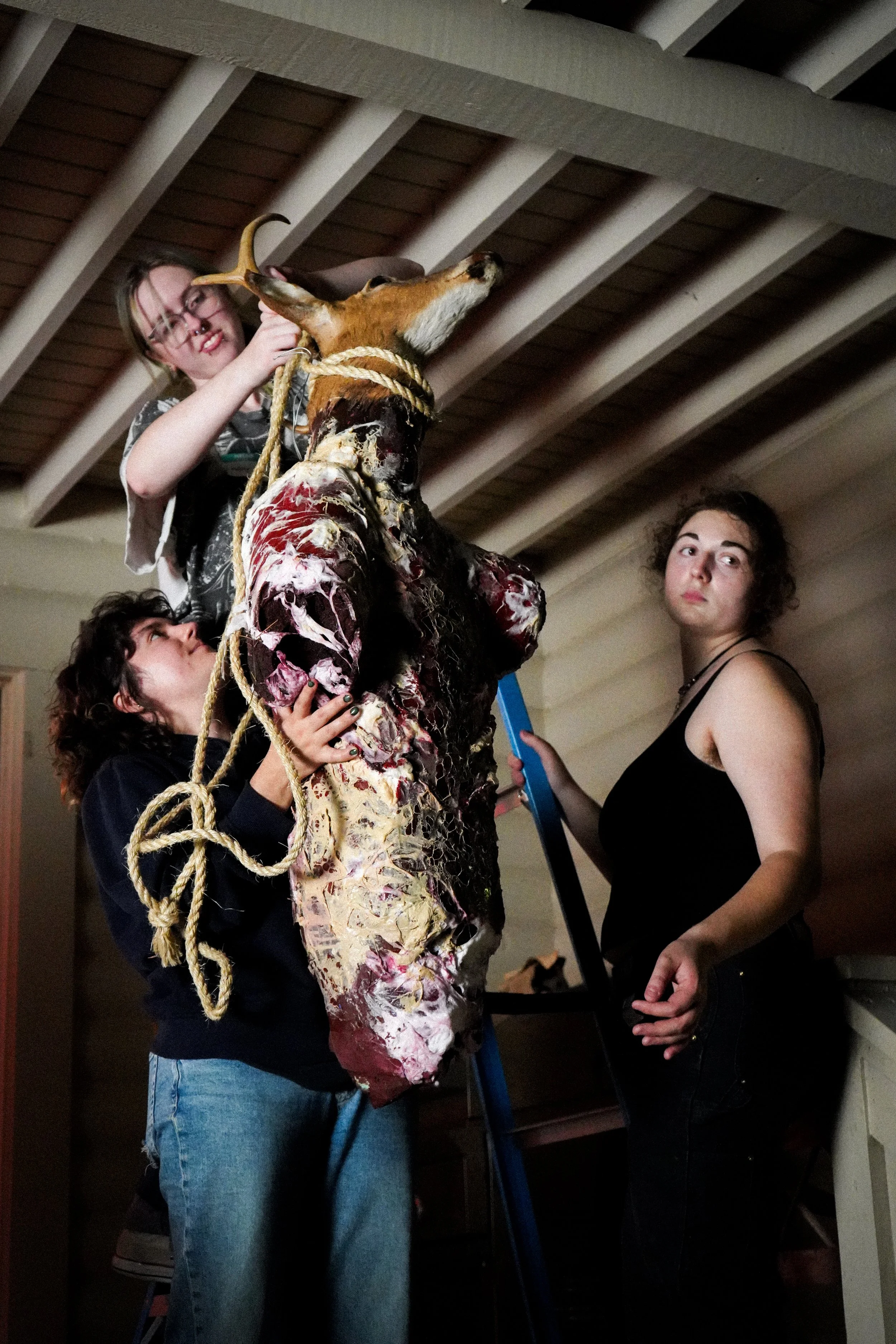 Shedding Velvet // Skinned Deer