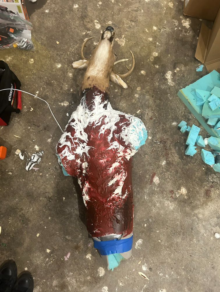 Added taxidermy deer head and began painting base