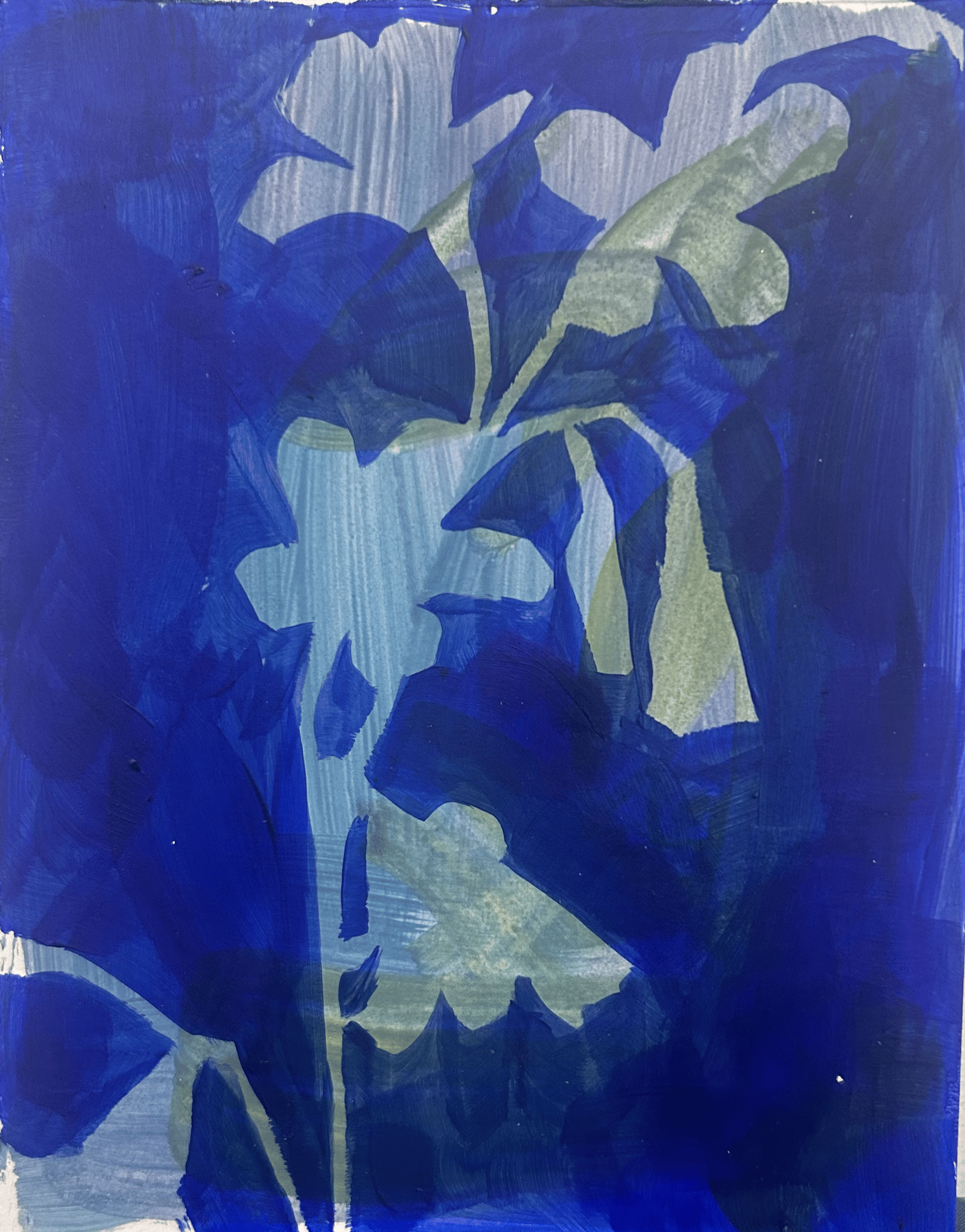 IMG_7502.png