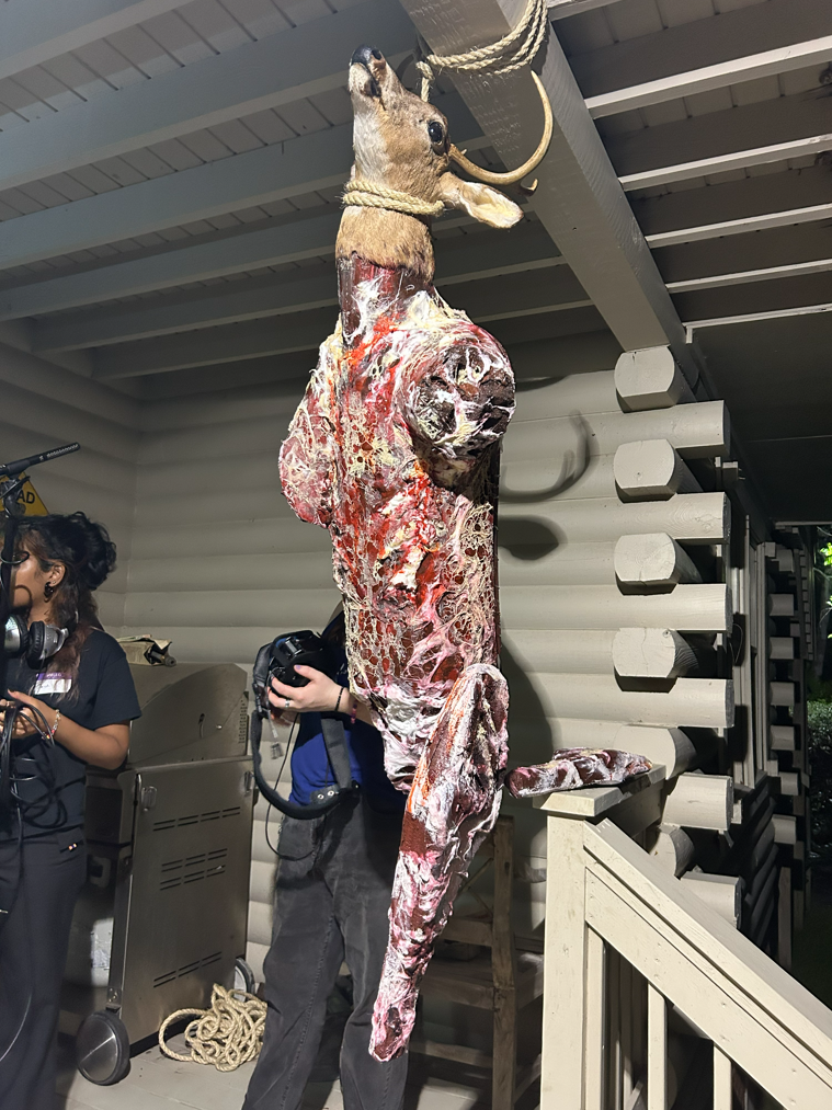 Final deer
