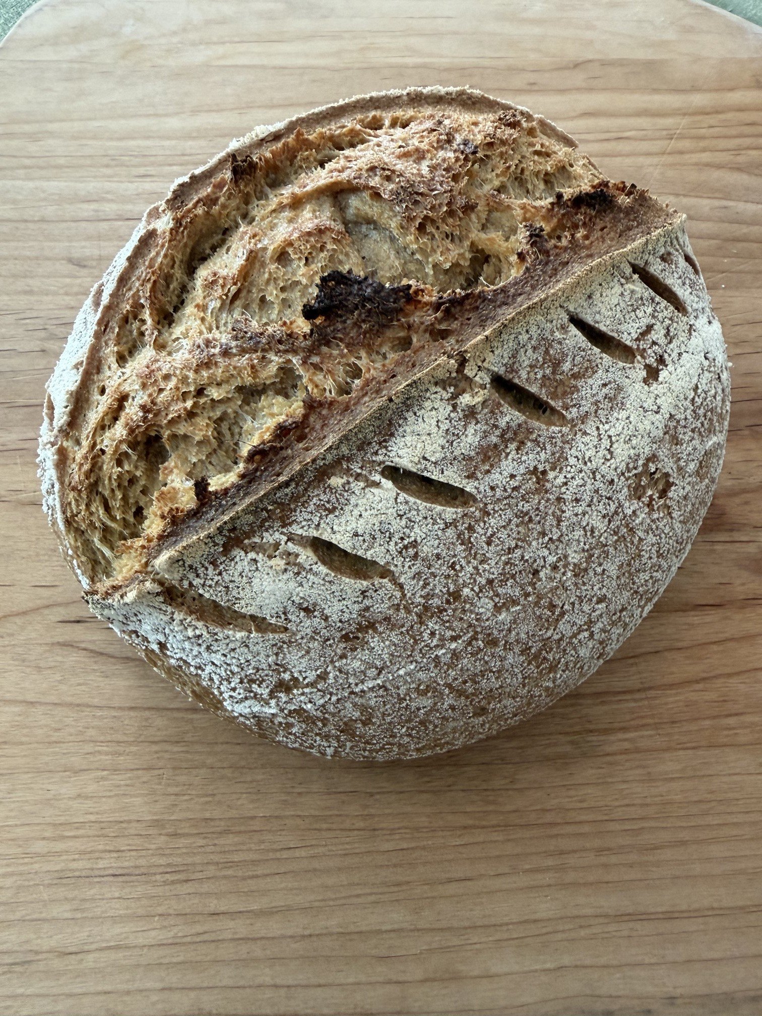 Fresh-Milled Golden Italian Sourdough