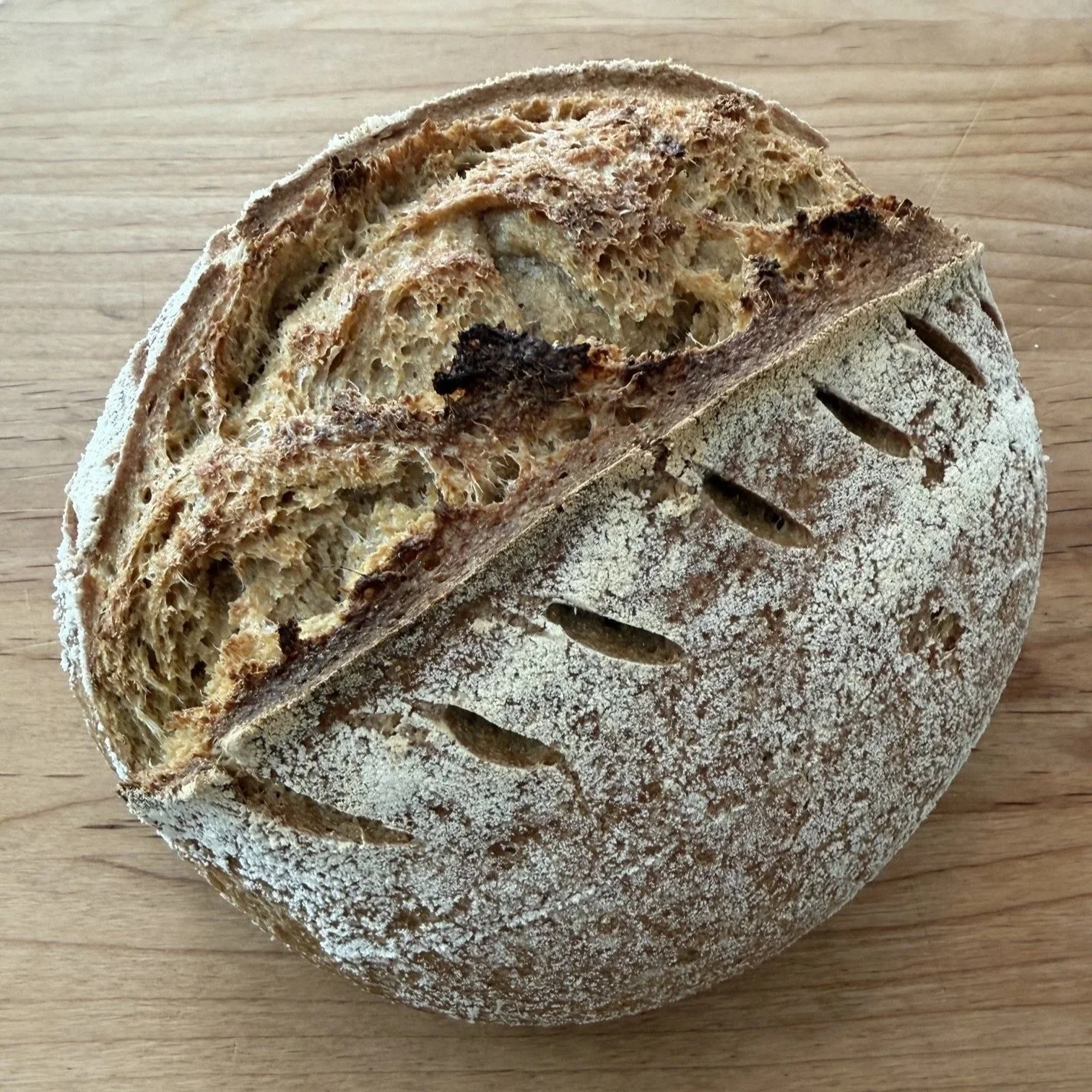 golden+wheat+sourdough.jpg