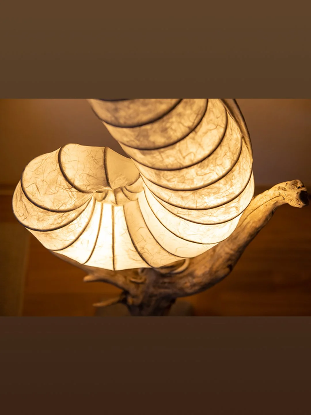 Eine dekorative Lampe, gestaltet aus Papier und Holz, mit einem spiralförmigen, natürlicher Optik, die warmes Licht ausstrahlt.