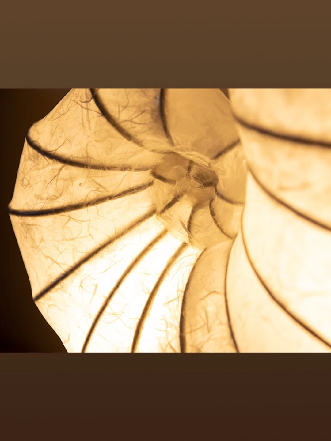 Nahaufnahme einer geschwungenen, beleuchteten Lampenschirm aus Papier mit sichtbaren feinen Adern.