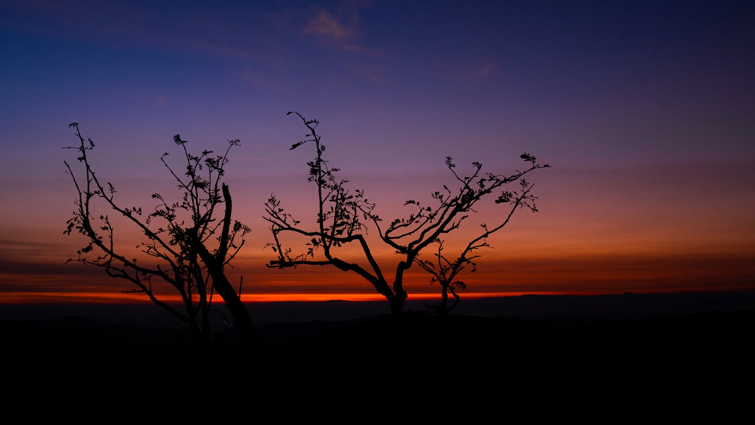 Jennie Murray Physical Therapy | Orthopedic and Pelvic Health