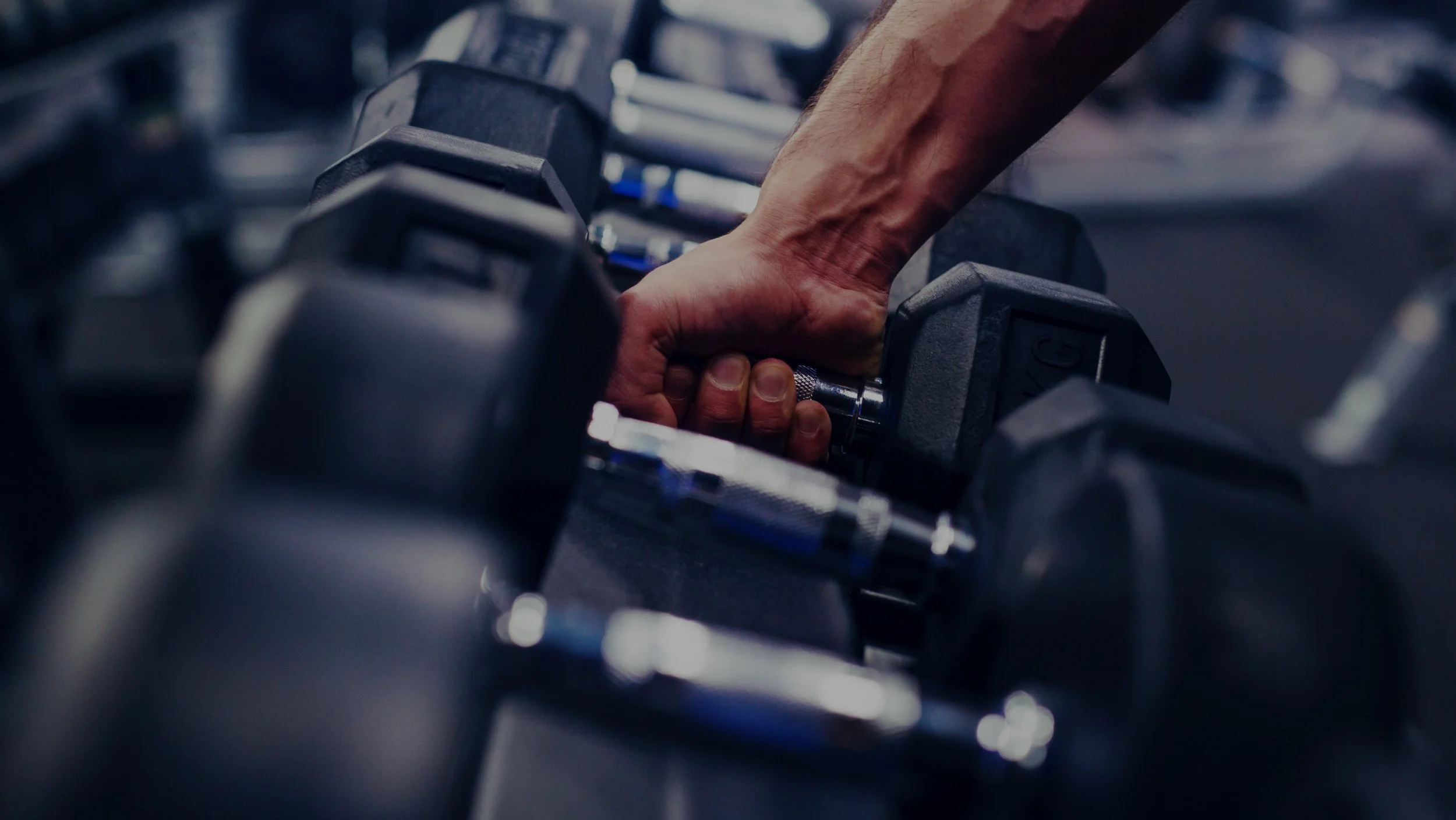 Jennie Murray Physical Therapy | Free From Pain — Free to Lift Weights