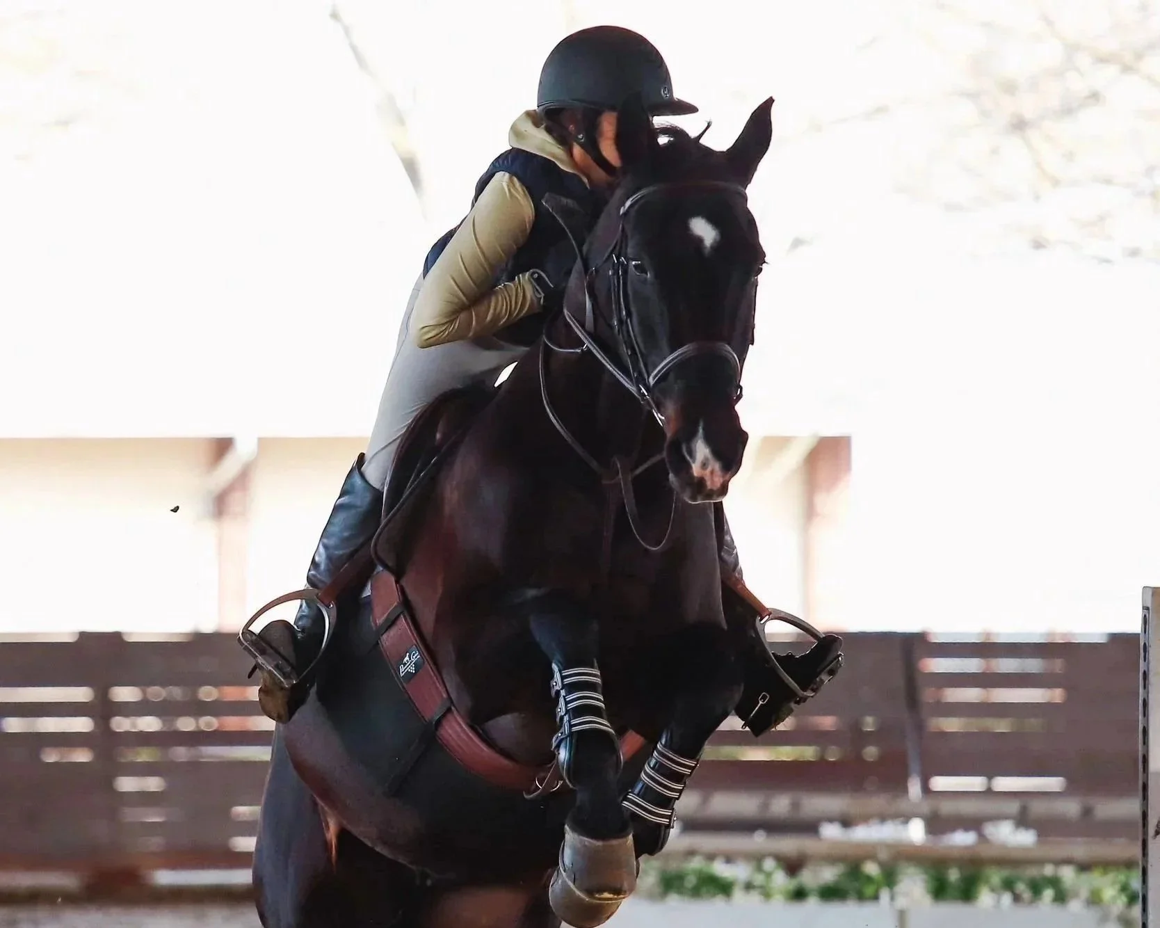 What is Aligning, and Why Does it Matter? 