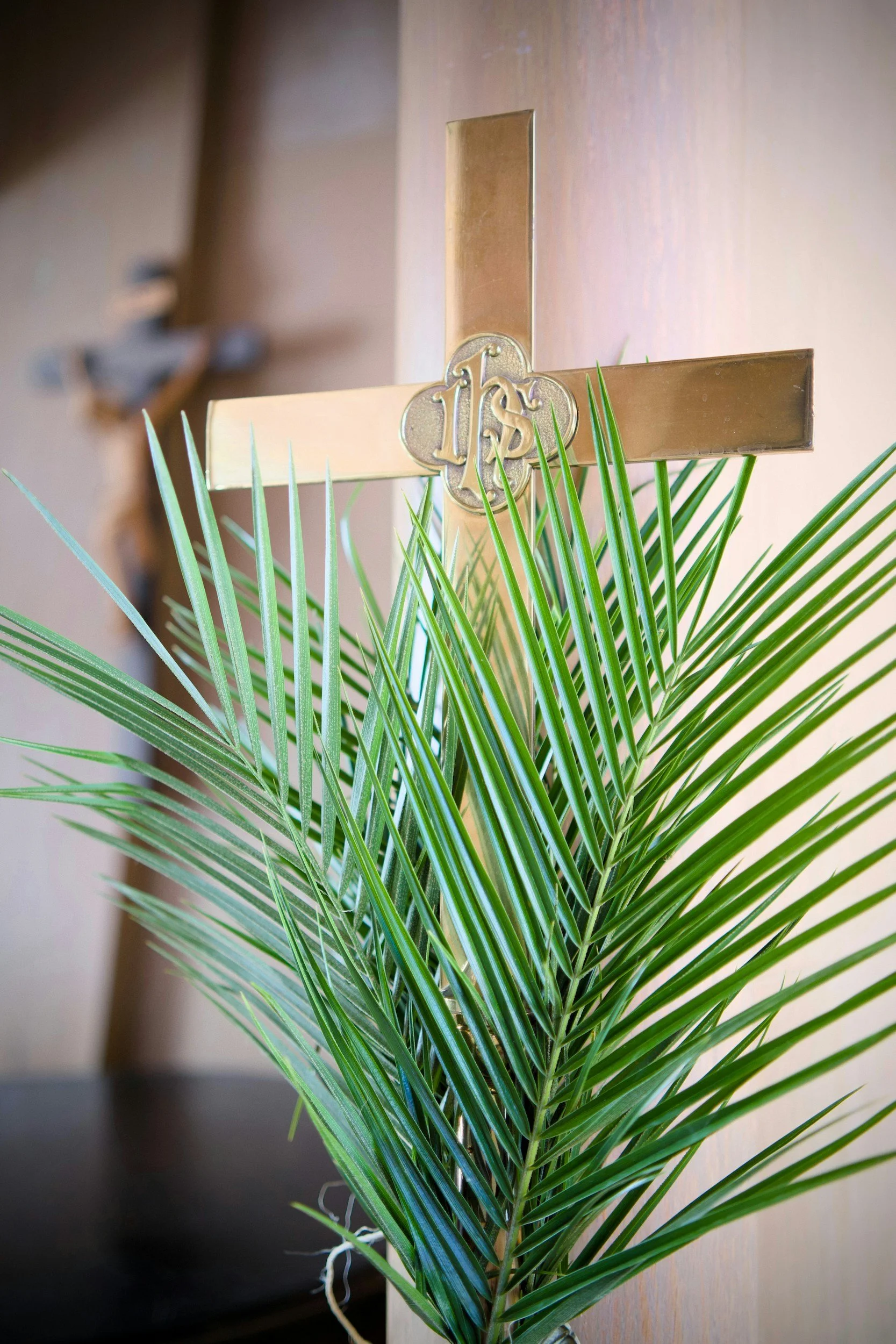 11:00am Palm Sunday Mass -10:20am Holy Rosary