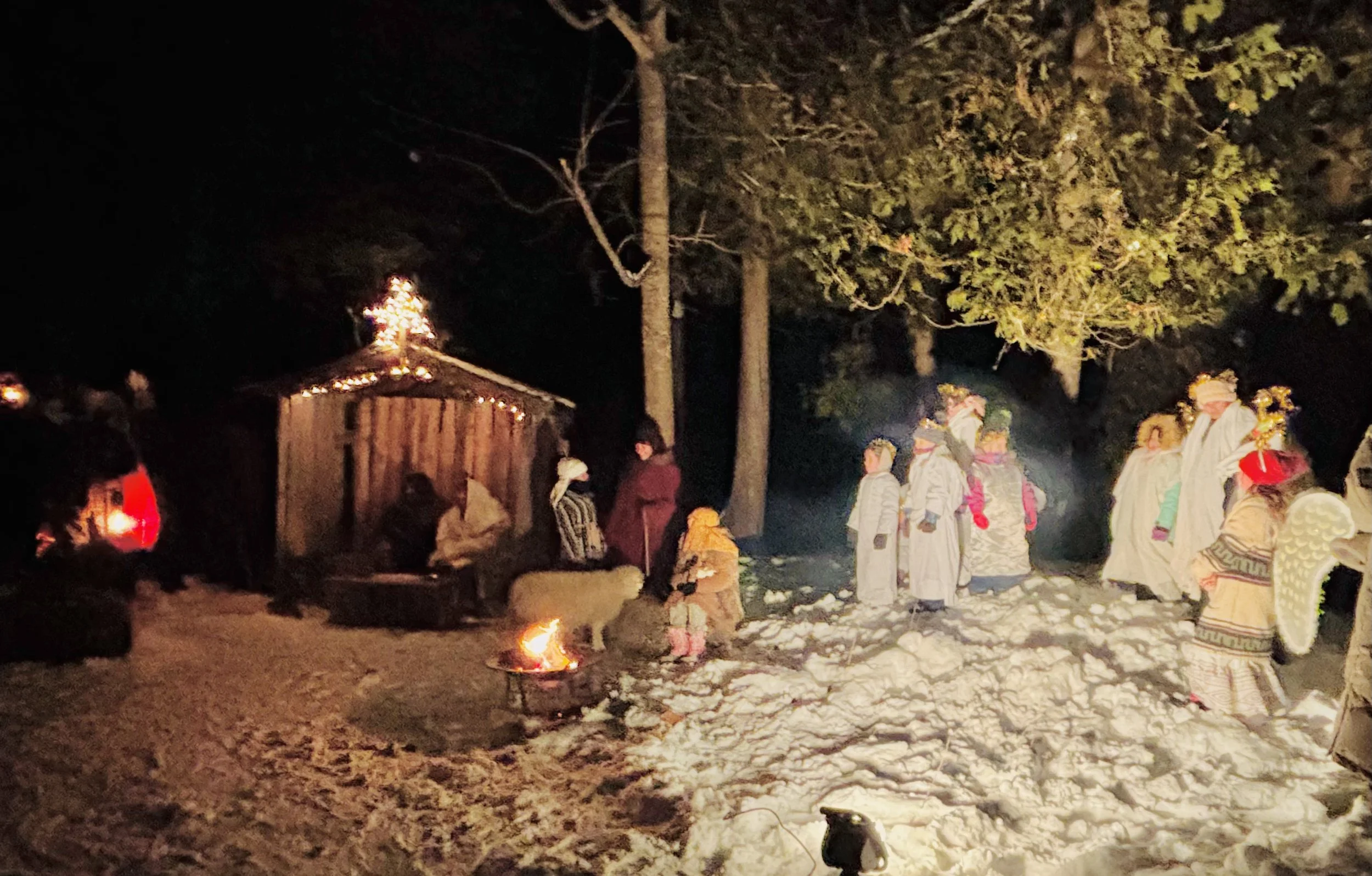 Photo 2025-12-13, 6 40 26 PM.jpg