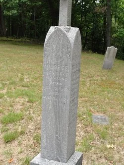 151439419_1440942009.jpg