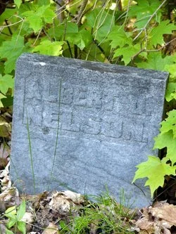 78638761_132201202553.jpg
