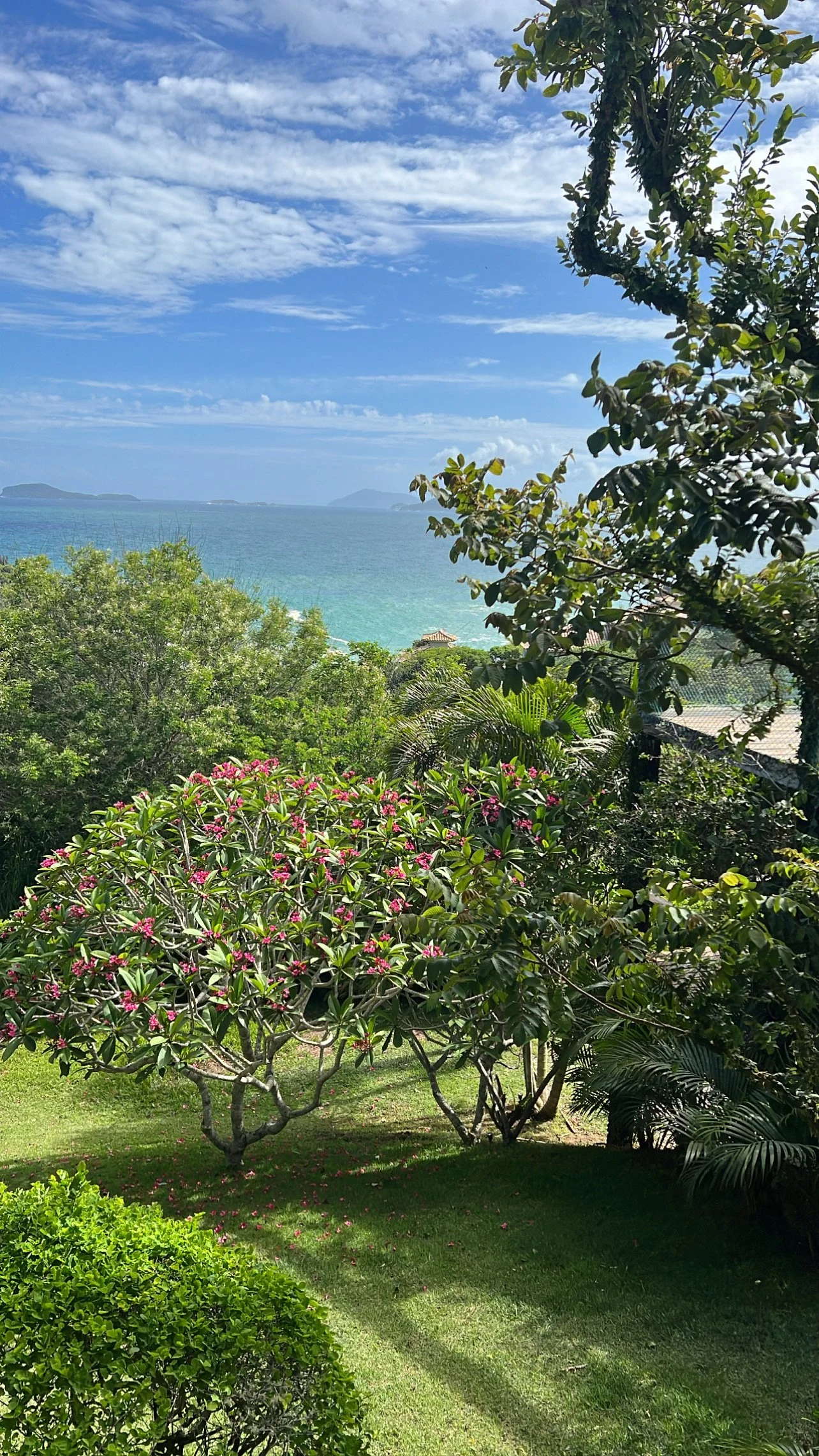 Tropical garden with green bushes, pink flowering tree, and trees, overlooking ocean with islands in the distance under a blue sky with white clouds.