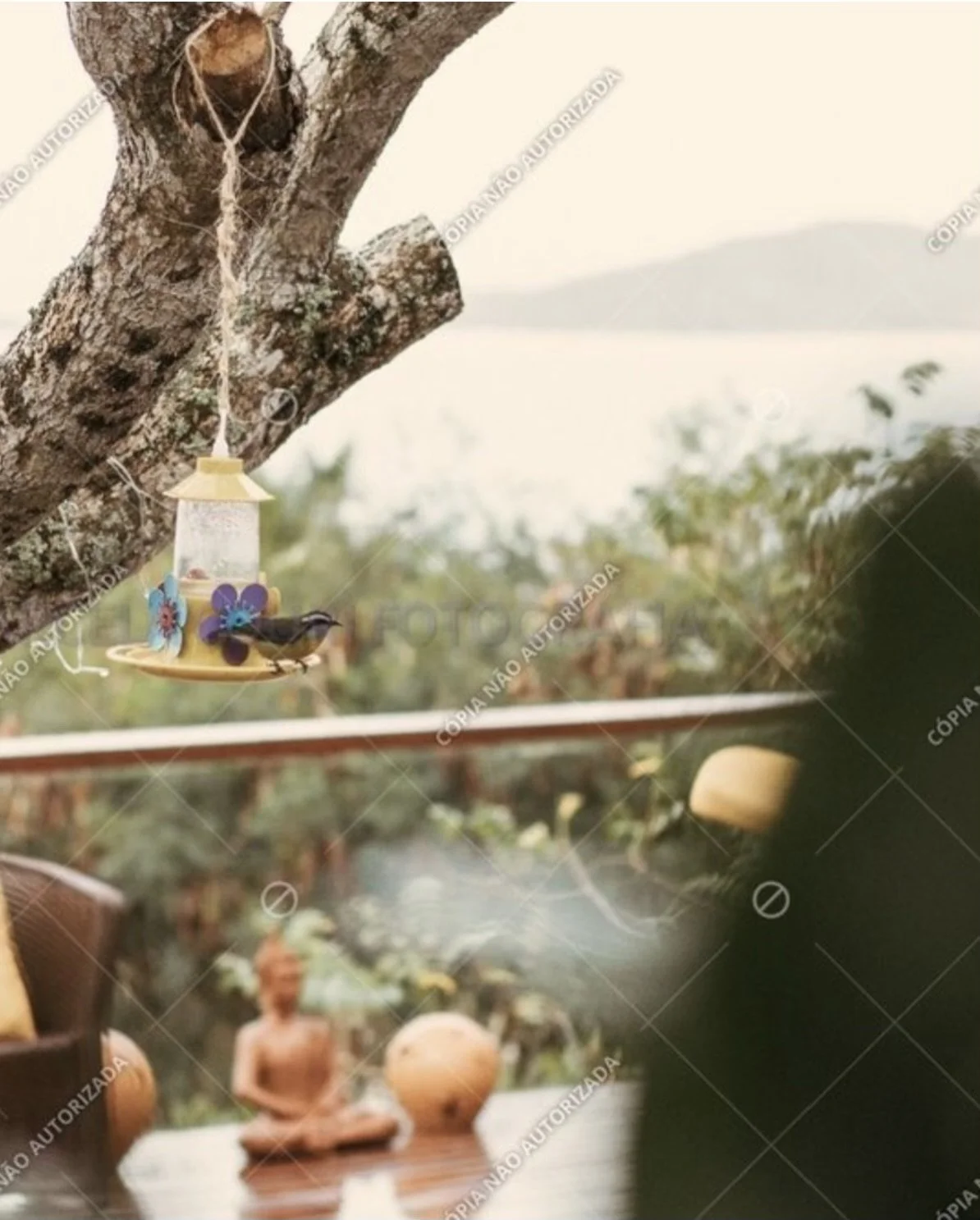 Bird feeder hanging from a tree branch with a bird perched on it, outdoors with trees and water in the background.