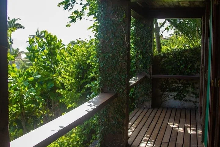 View from a balcony or porch with wooden flooring, surrounded by lush green foliage and plants, with vines climbing the support beams.