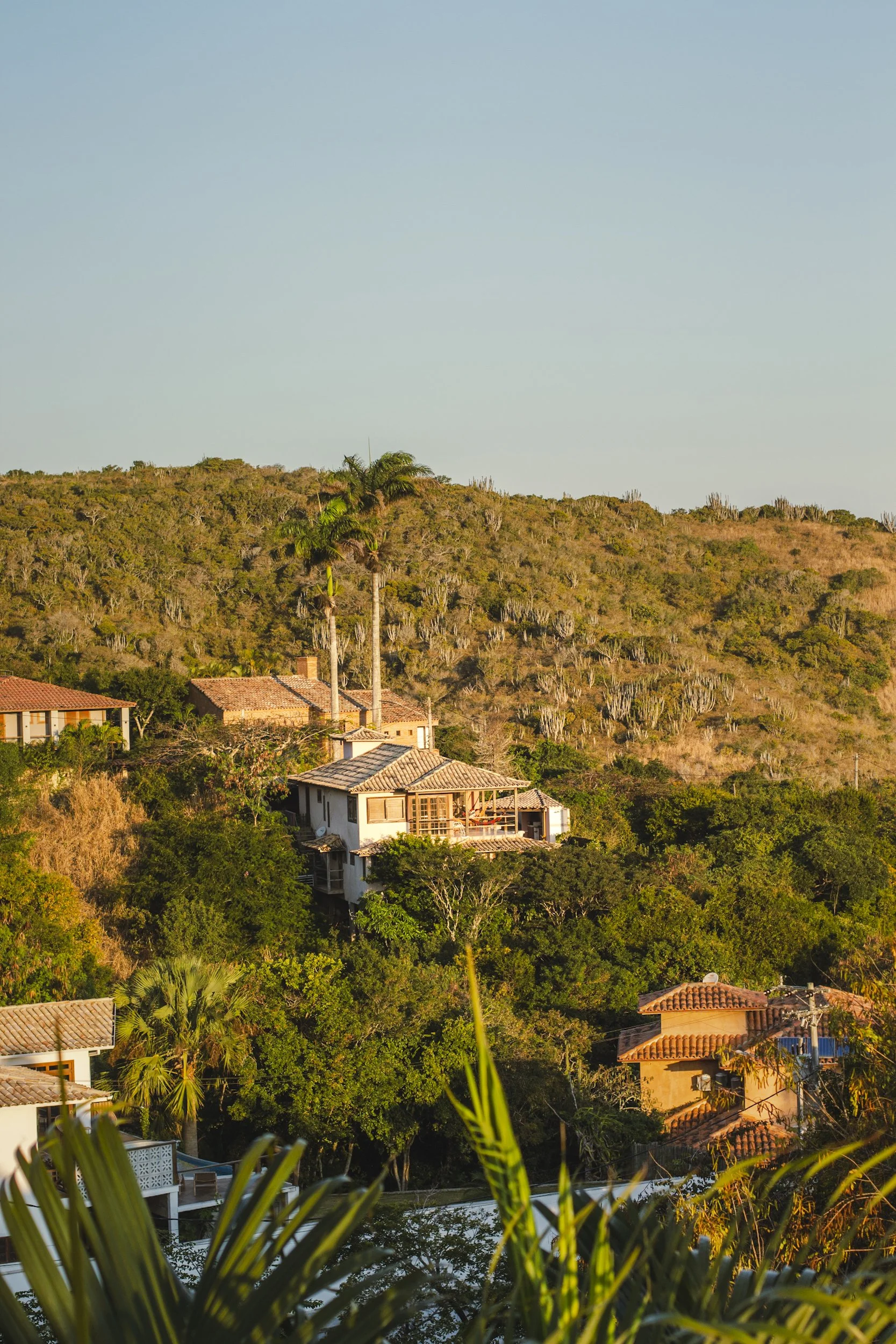 Houses on a hillside with lush greenery, palm trees, and a clear blue sky in the background during sunset.