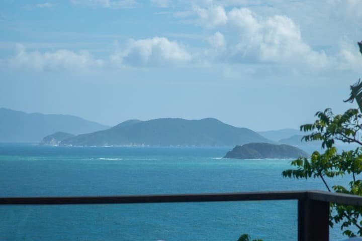 View of the ocean with distant islands and a cloudy sky, seen from a balcony with a black railing and some green foliage.