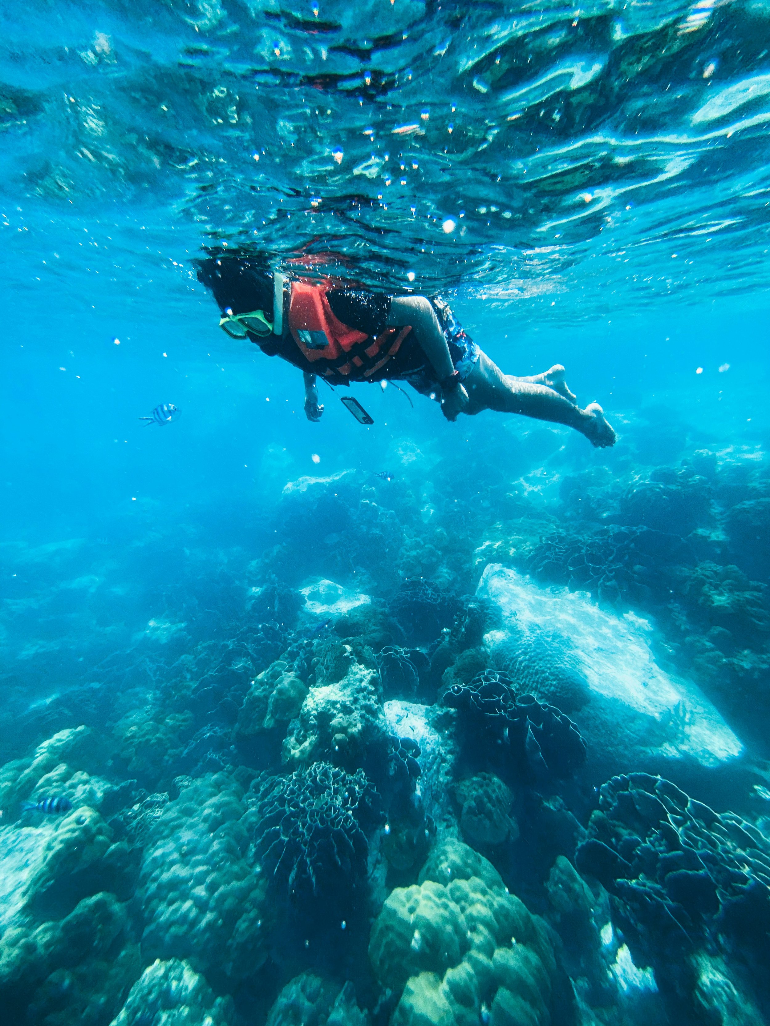 A person snorkeling underwater over a vibrant coral reef, wearing a life jacket and mask.